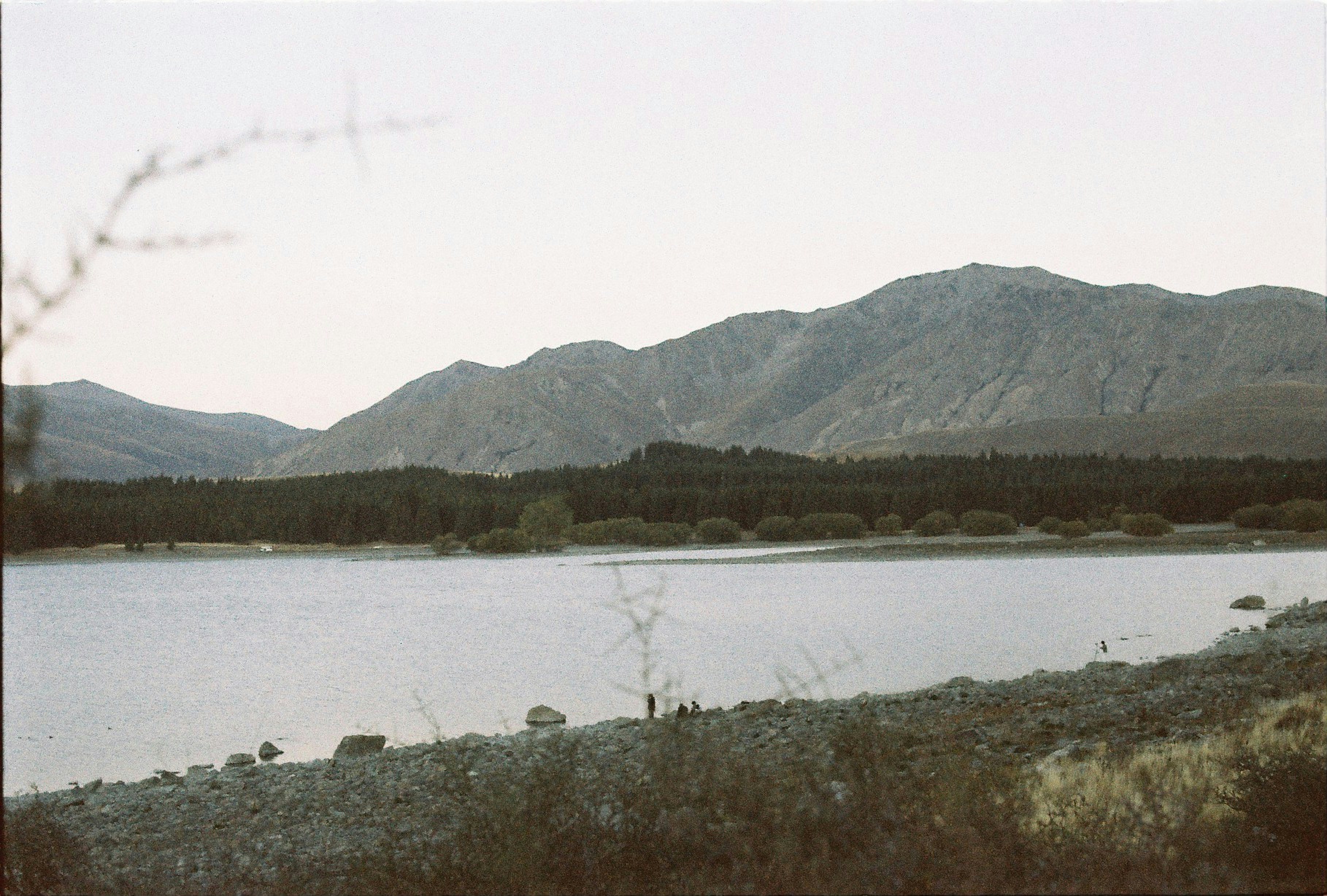 Photo by olezhanjudi