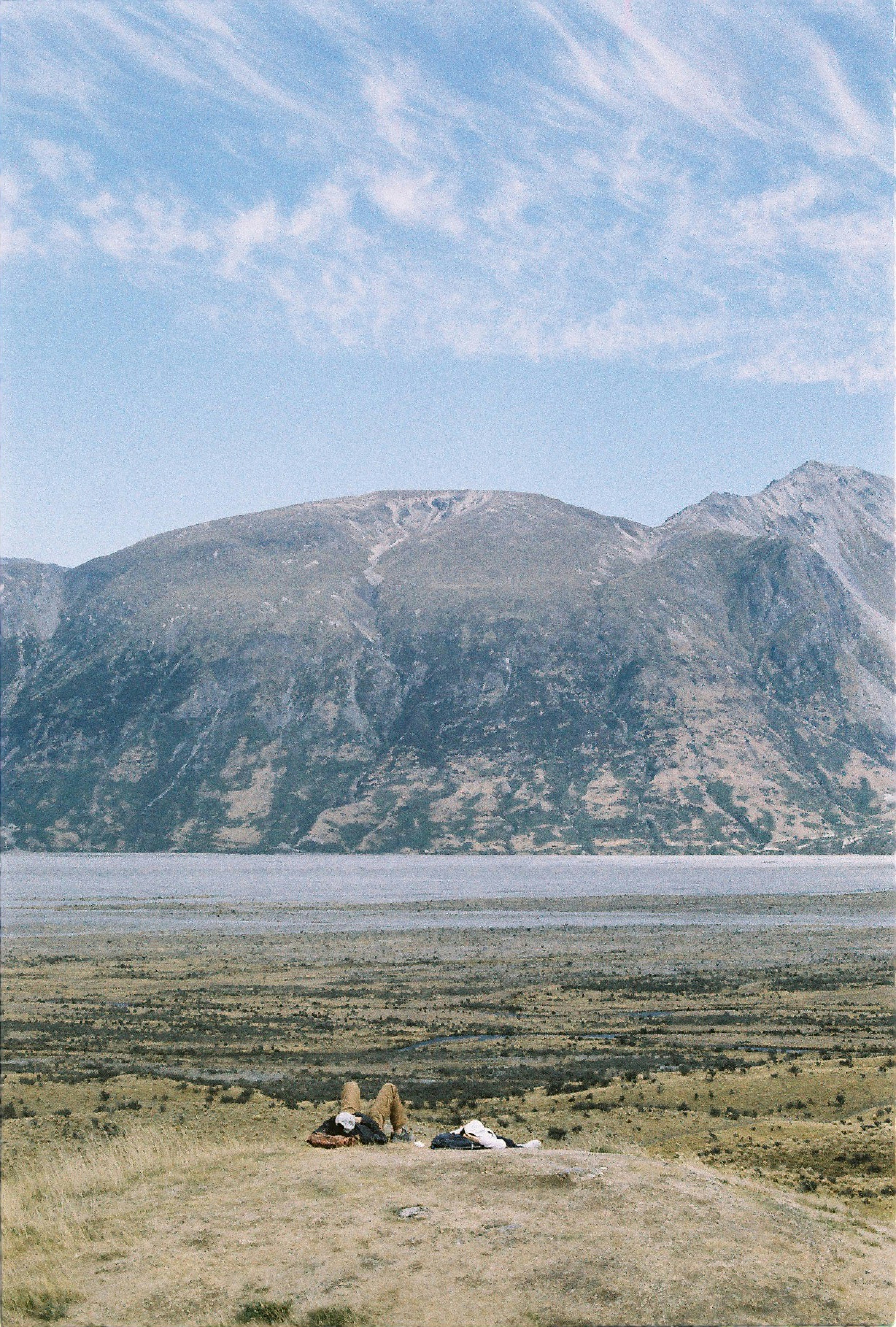 乾いた草原の上に横たわる数匹の動物