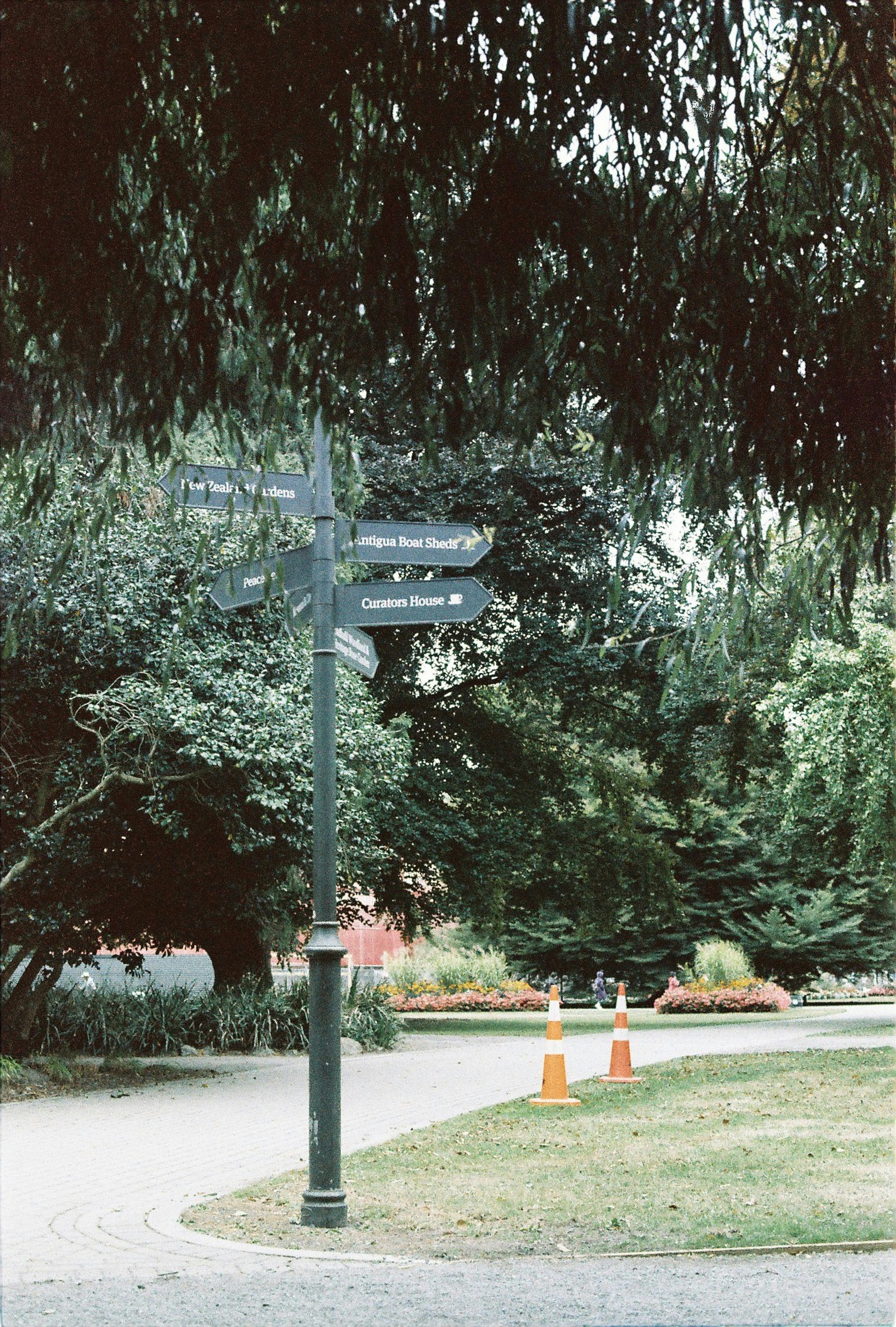 Photo by olezhanjudi