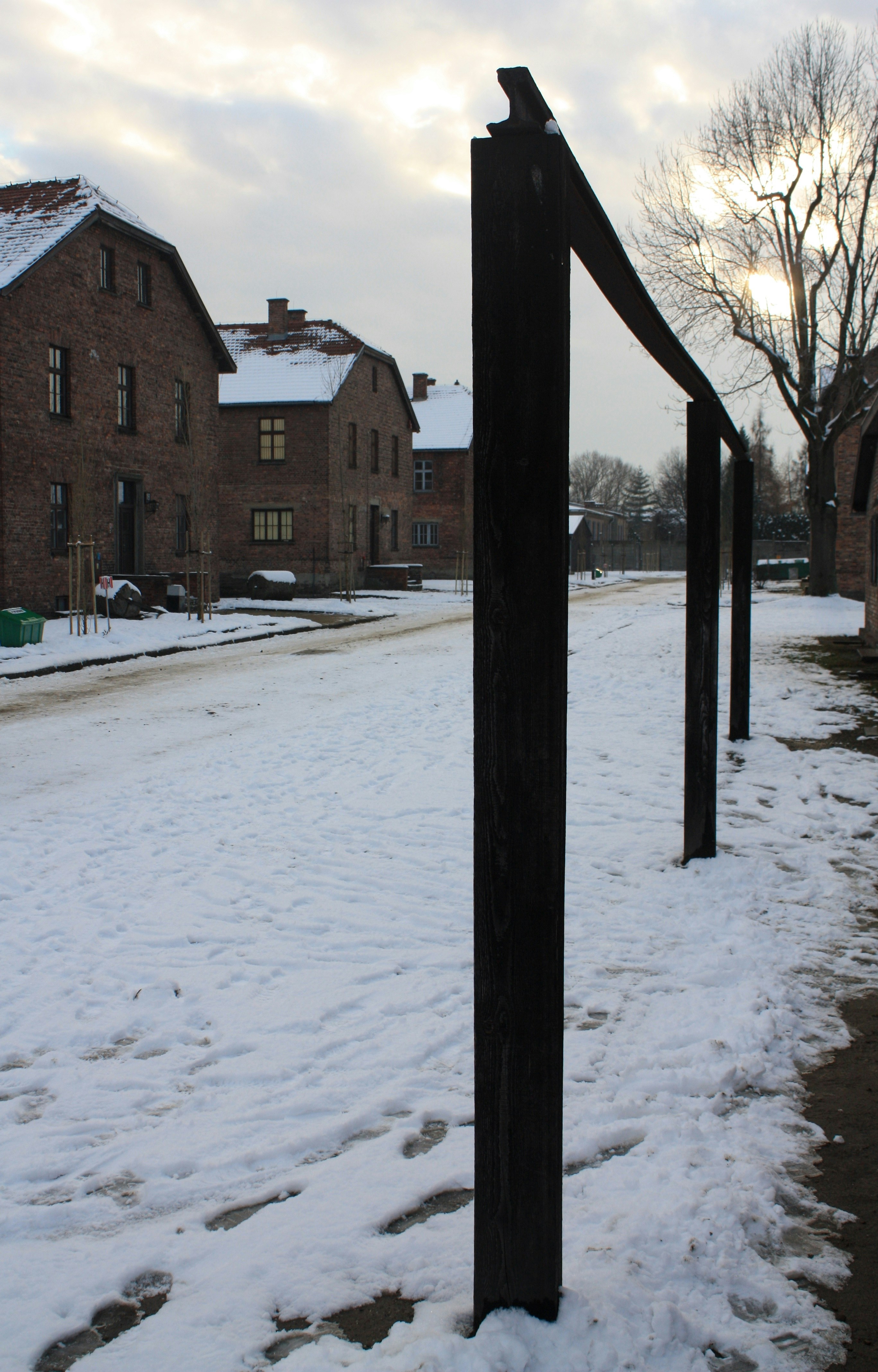 Photo by justmejuliee