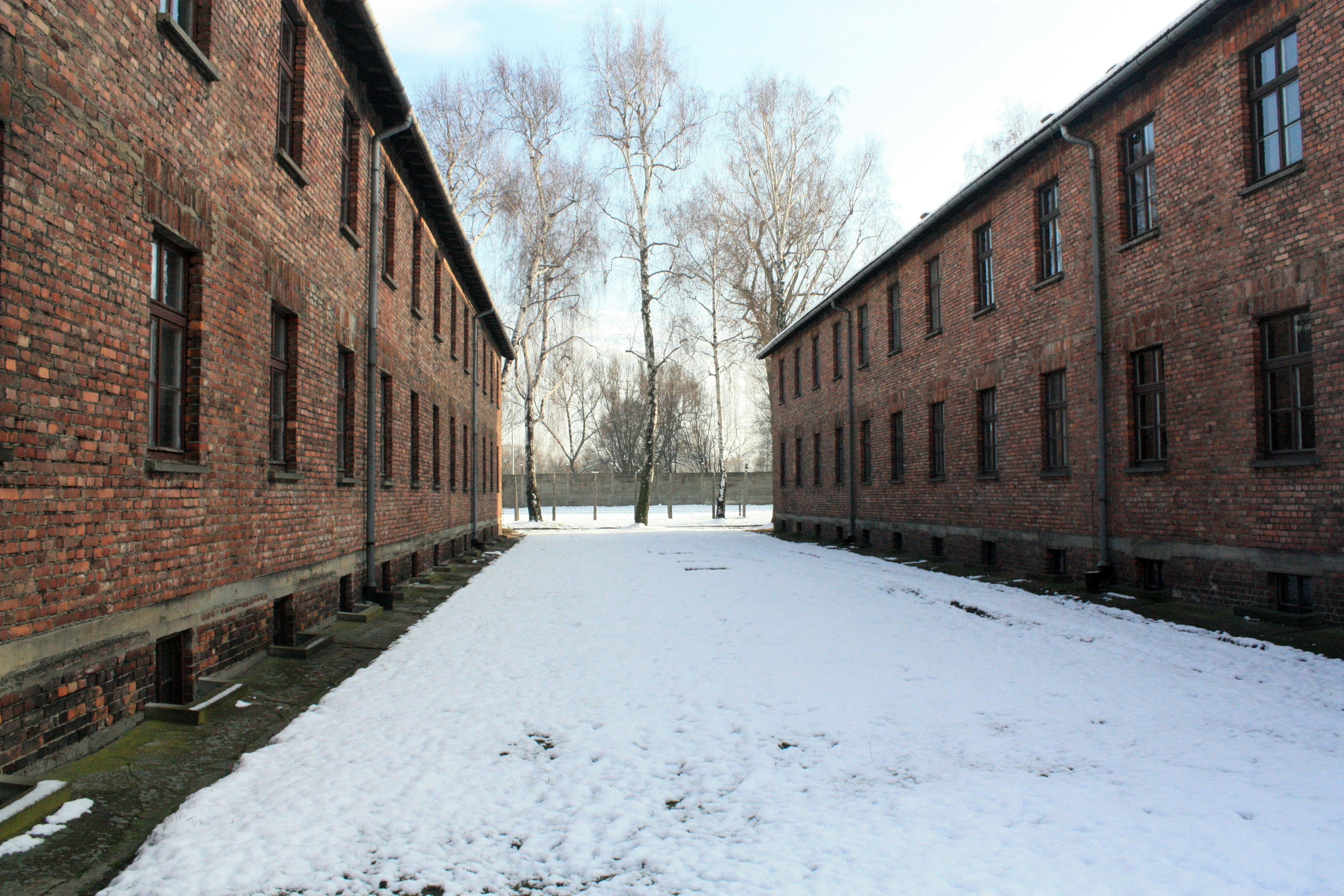 Photo by justmejuliee