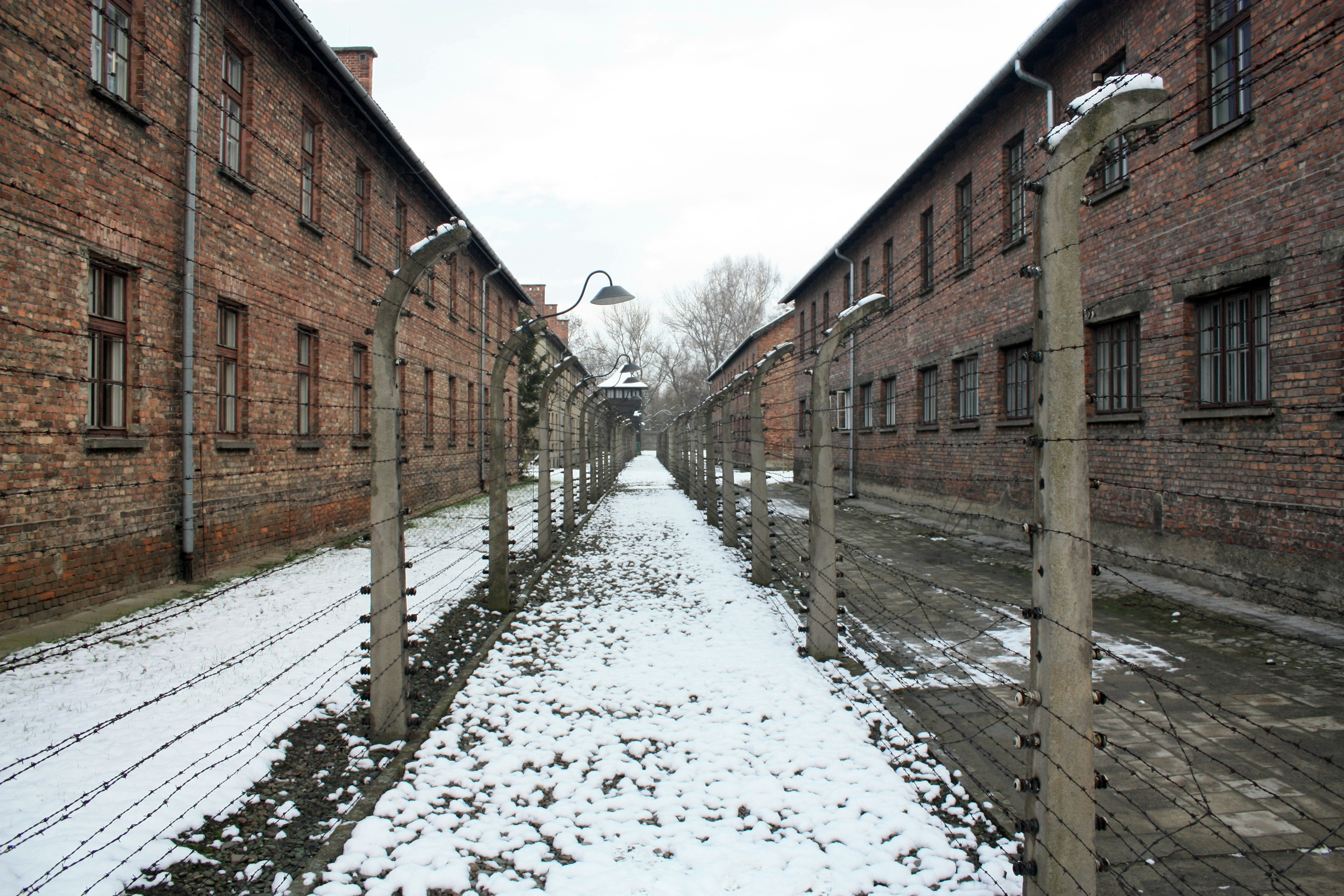 Photo by justmejuliee