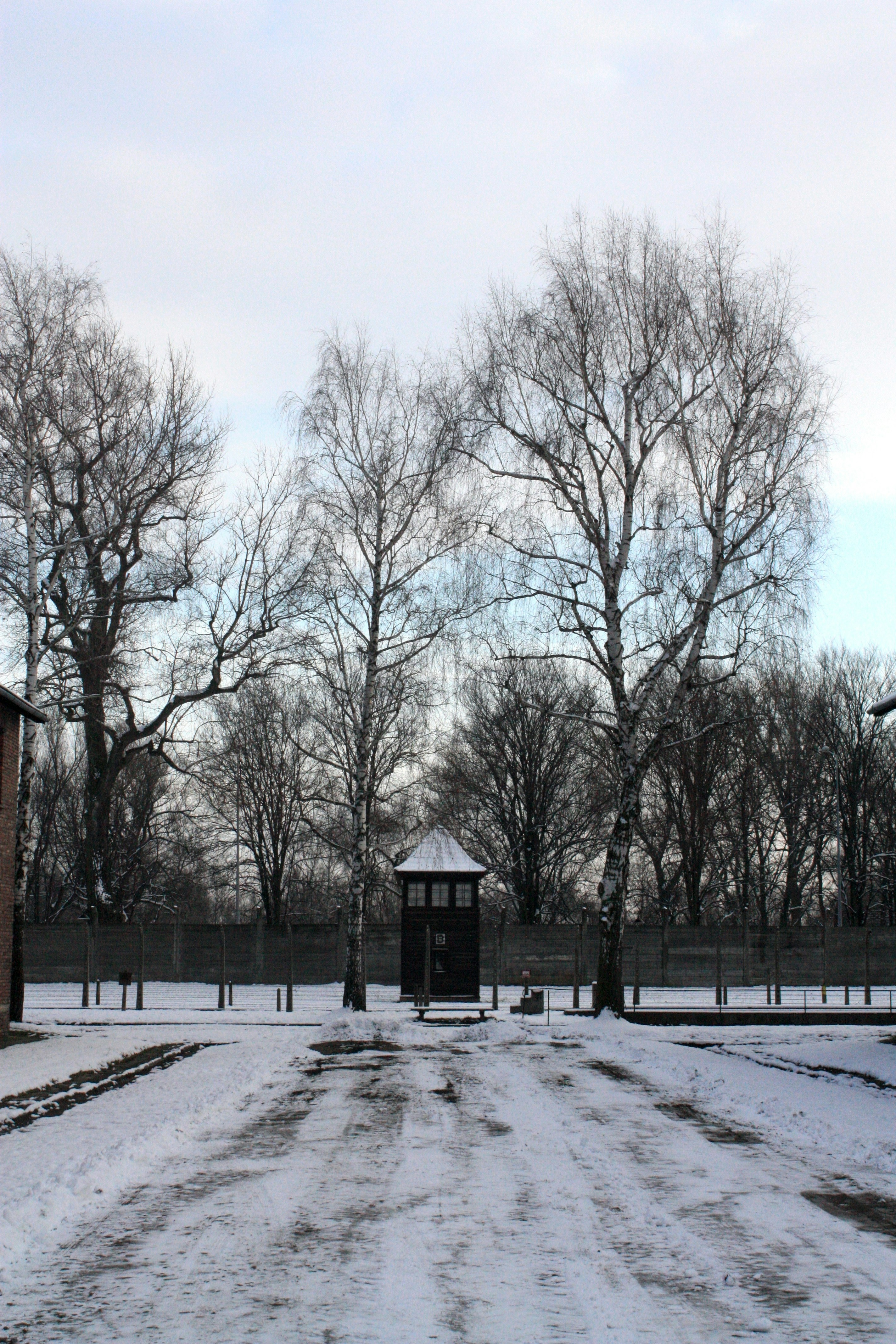 A snow covered park with a clock tower in the distance