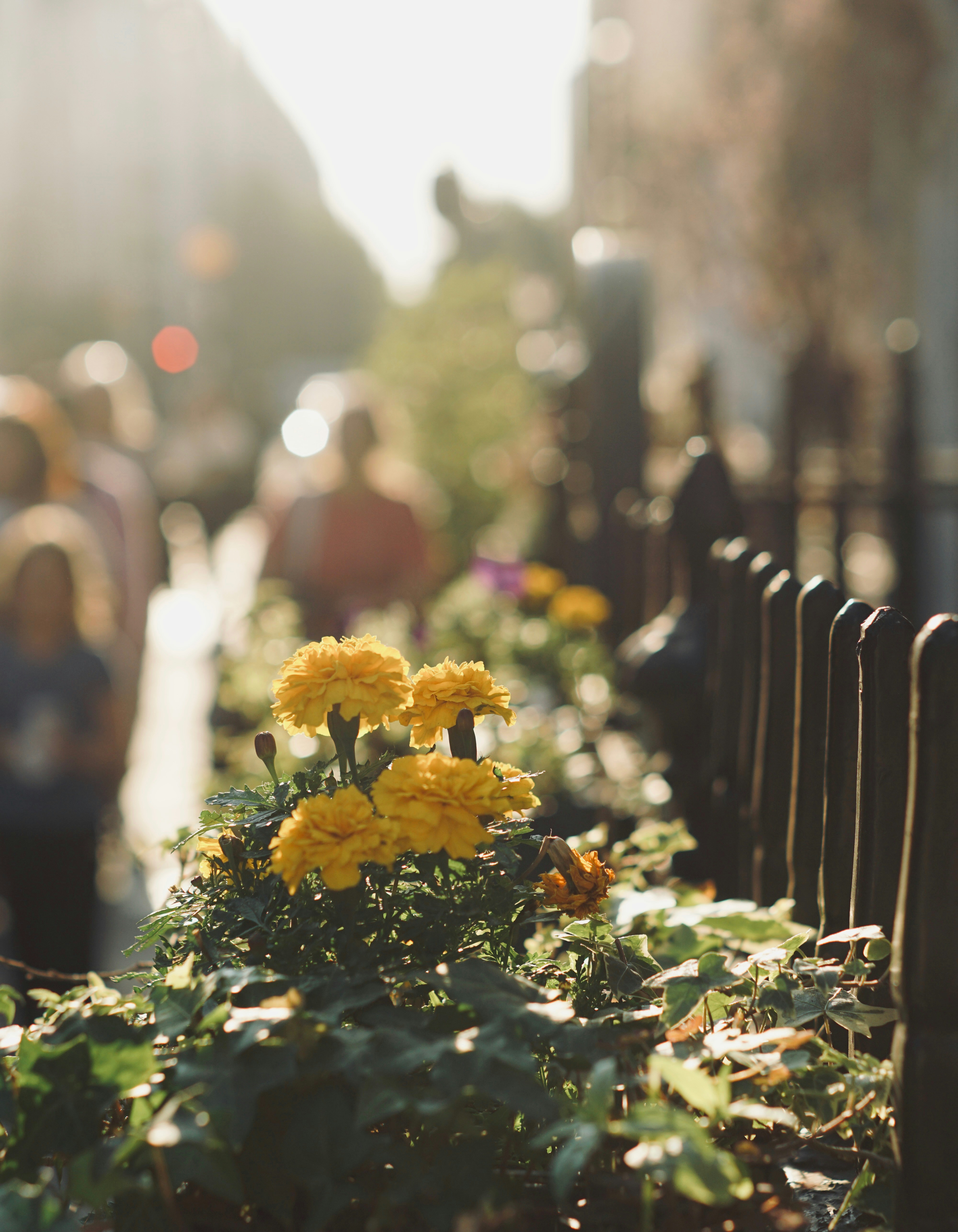 Photo by scarlettchy