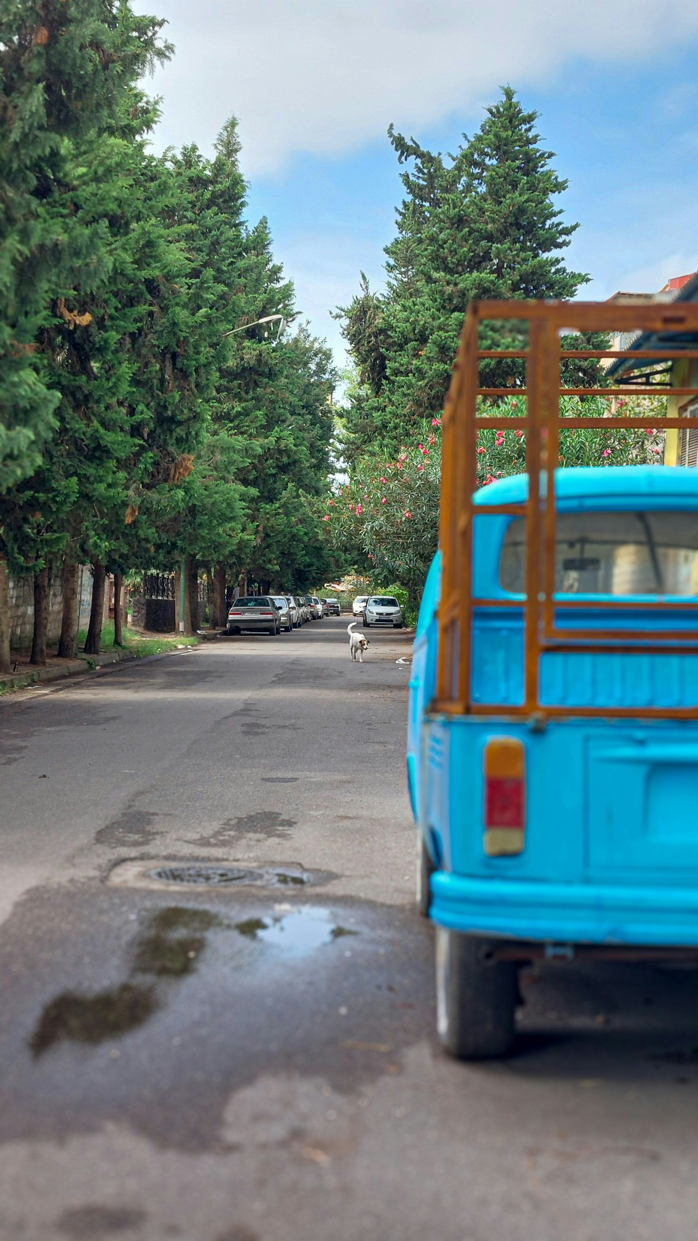 Photo by amirhosseinsabet