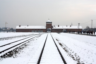 A train track in the middle of a snowy field