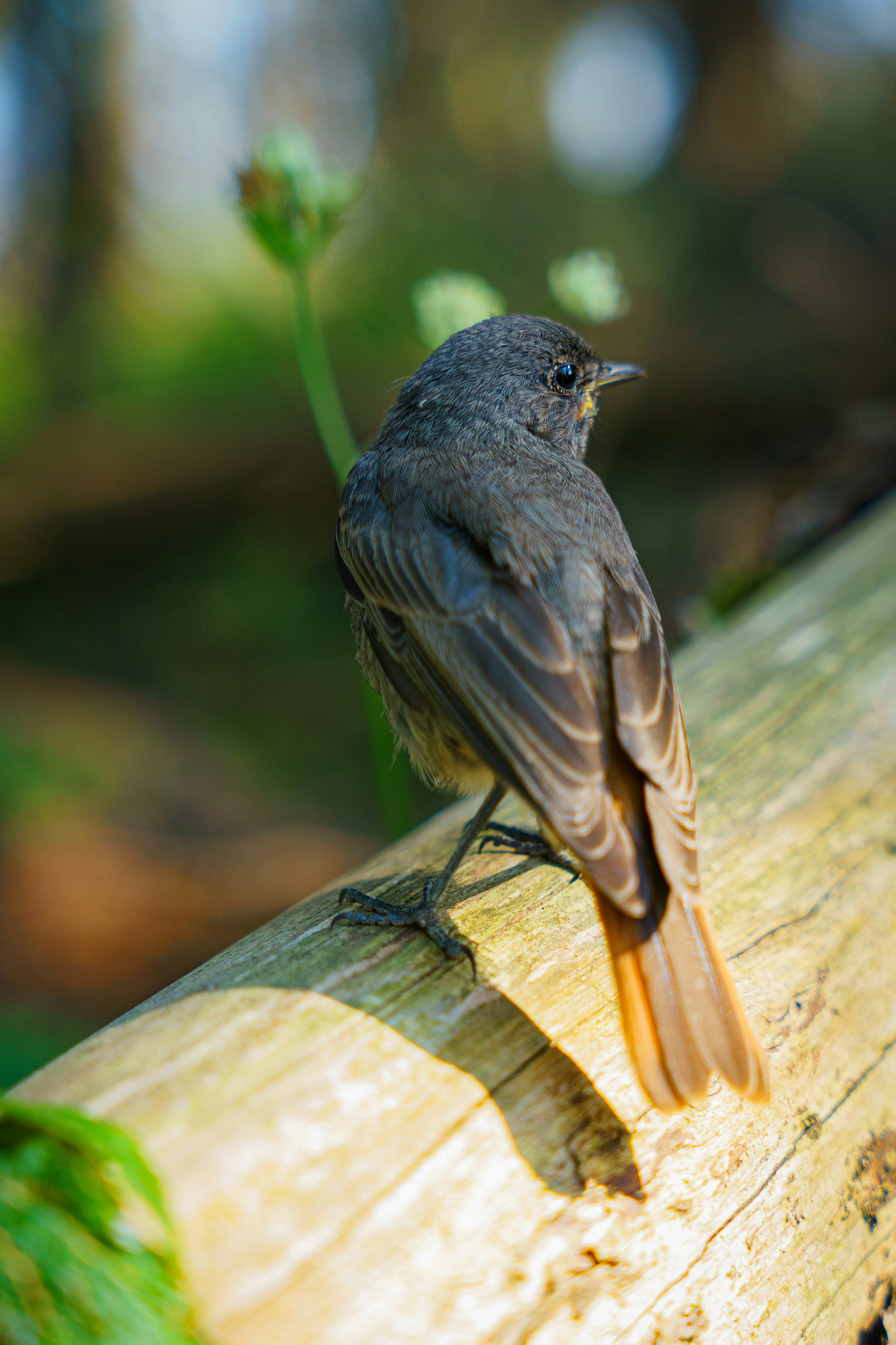 Photo by tu_kwiatkowski