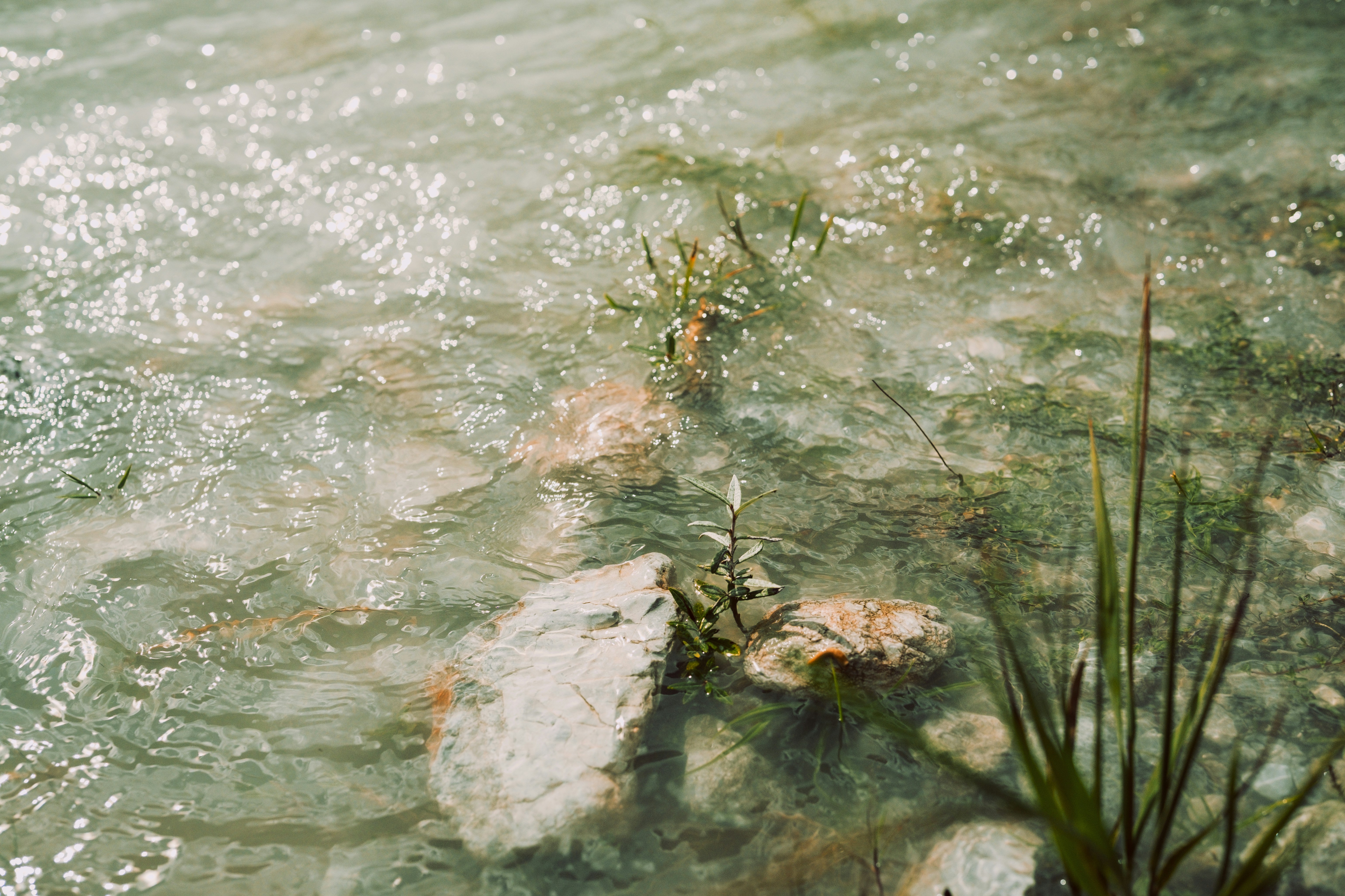 A bird is sitting on a rock in the water