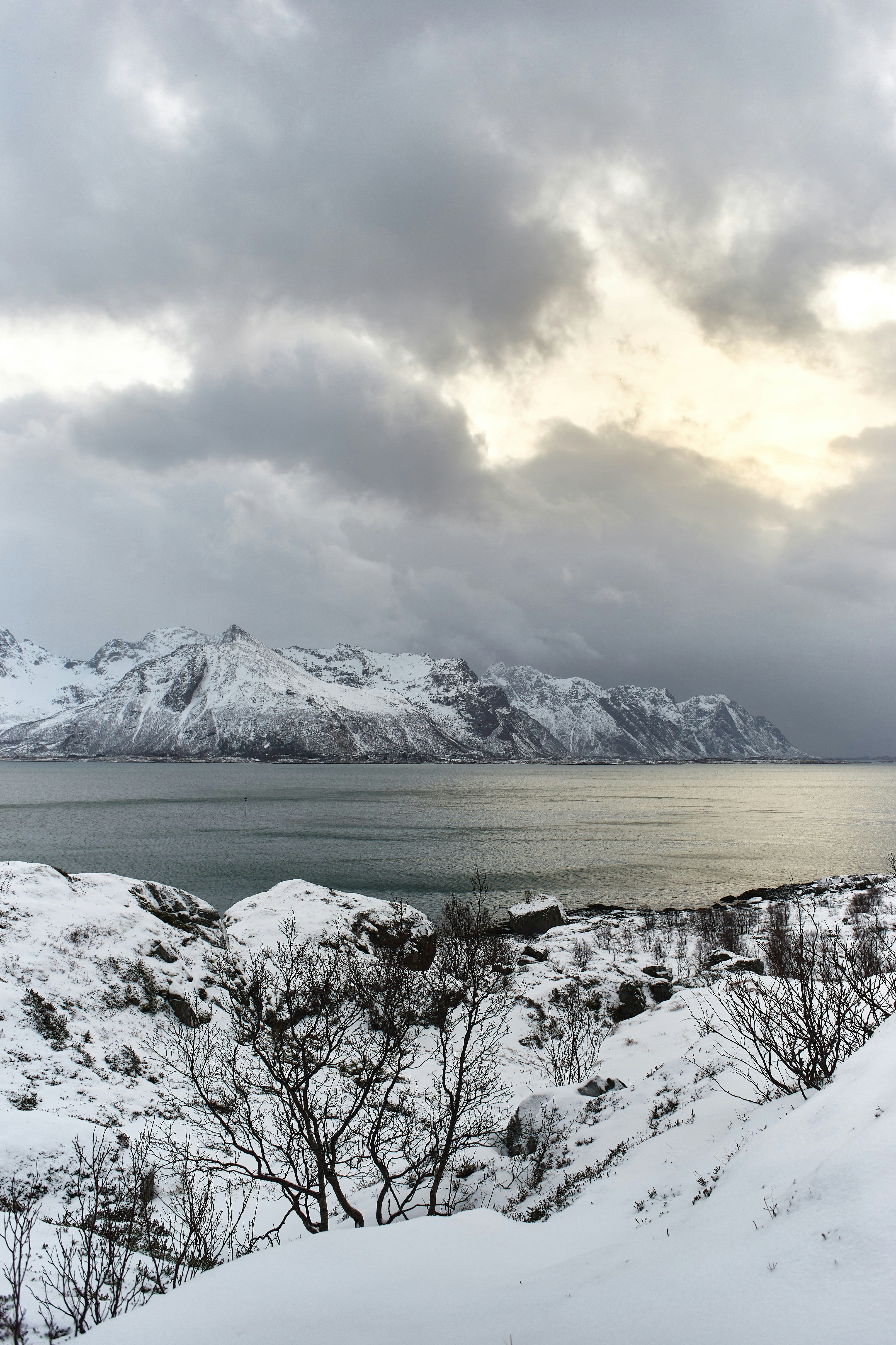 Photo by wolfgang_hasselmann