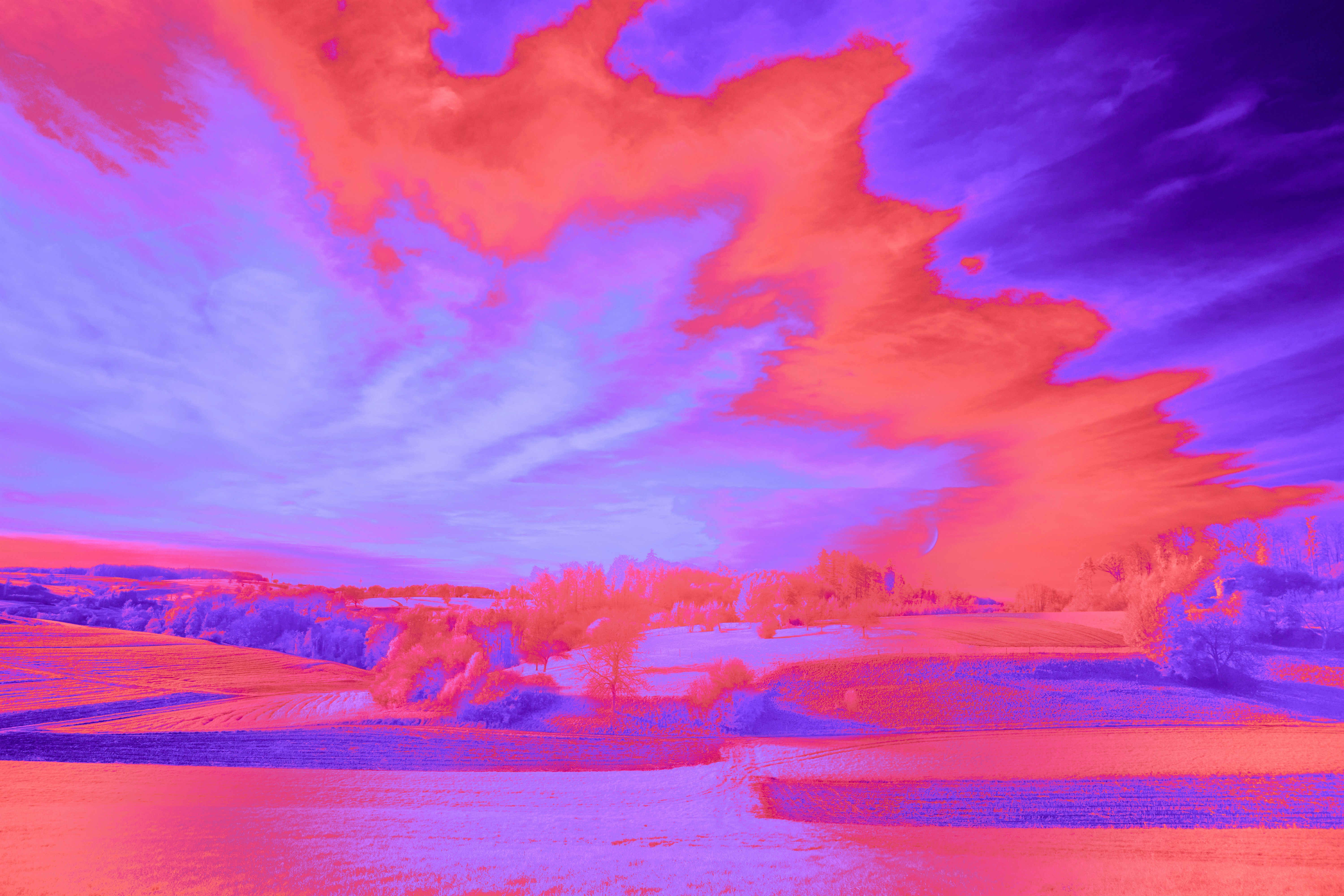 Photo by wolfgang_hasselmann