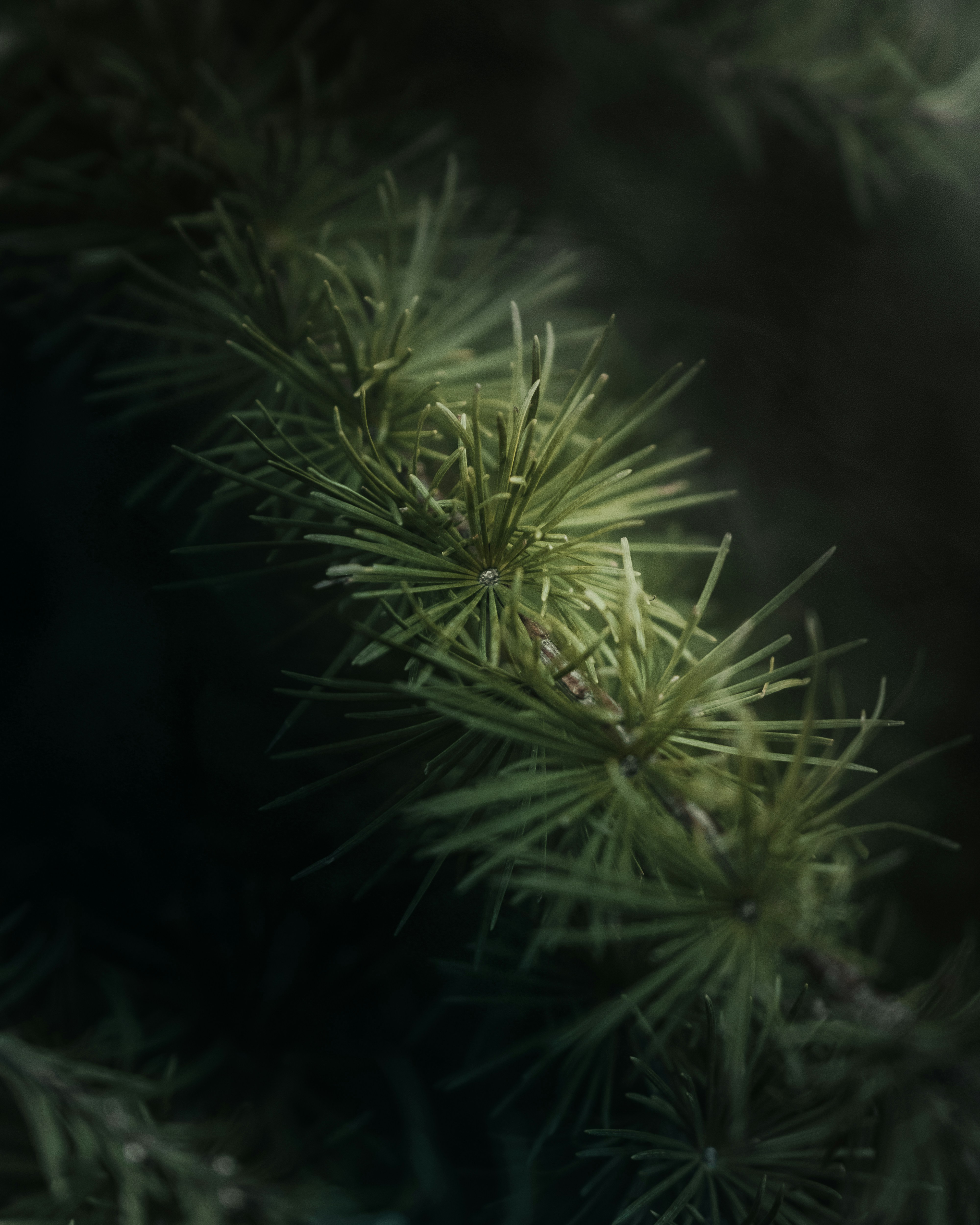 Photo by edgar_infocus