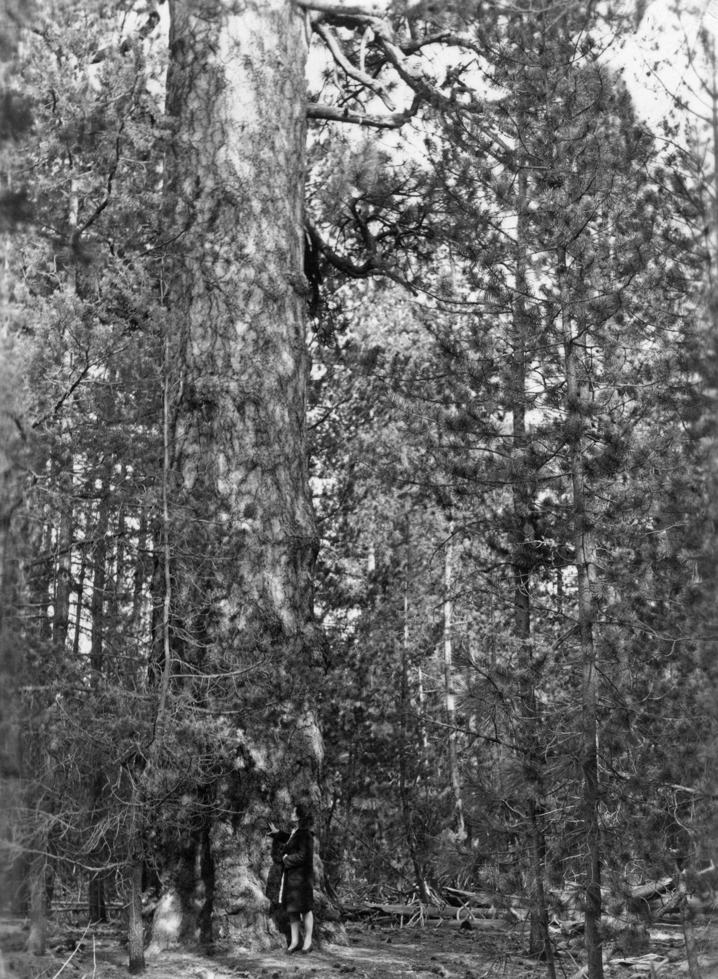 Photo by oregonstateuni