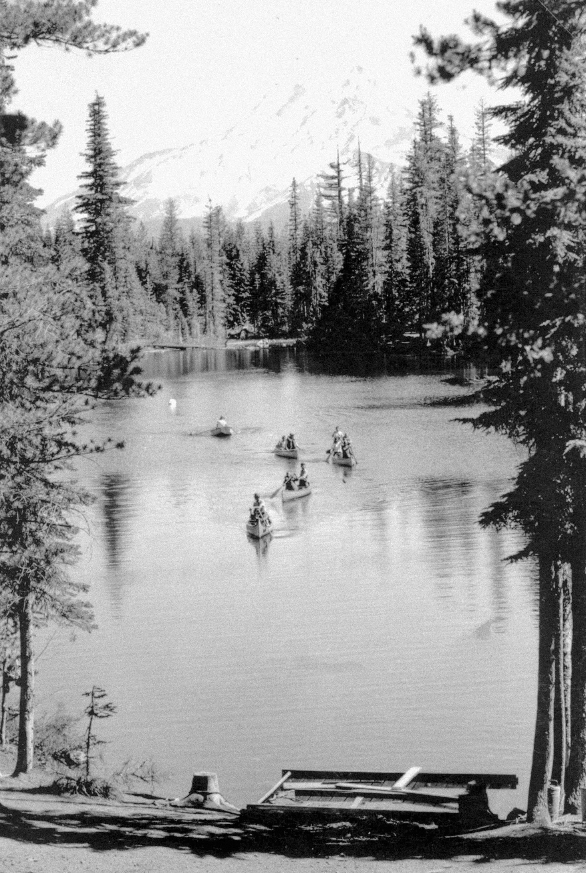 Photo by oregonstateuni