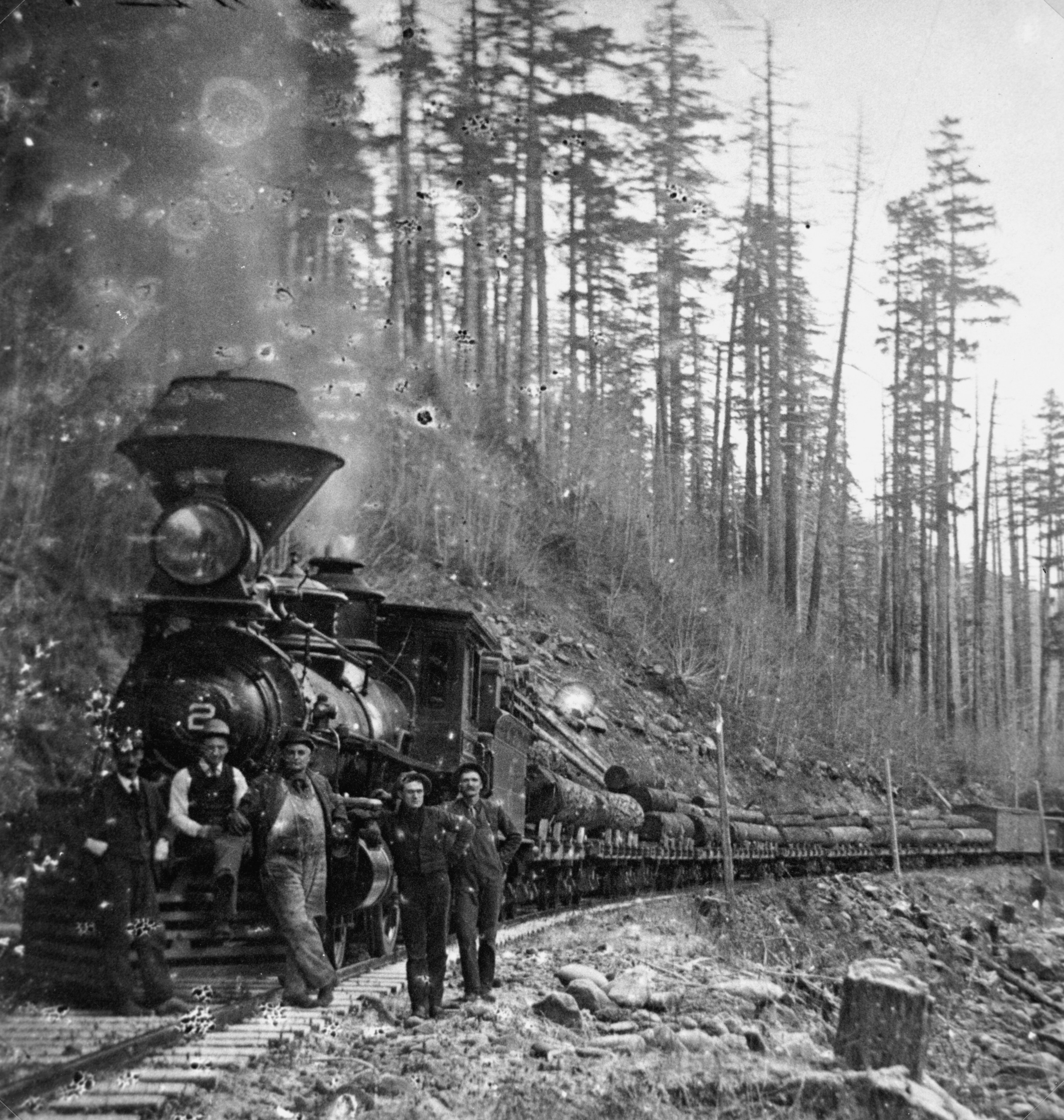 Photo by oregonstateuni