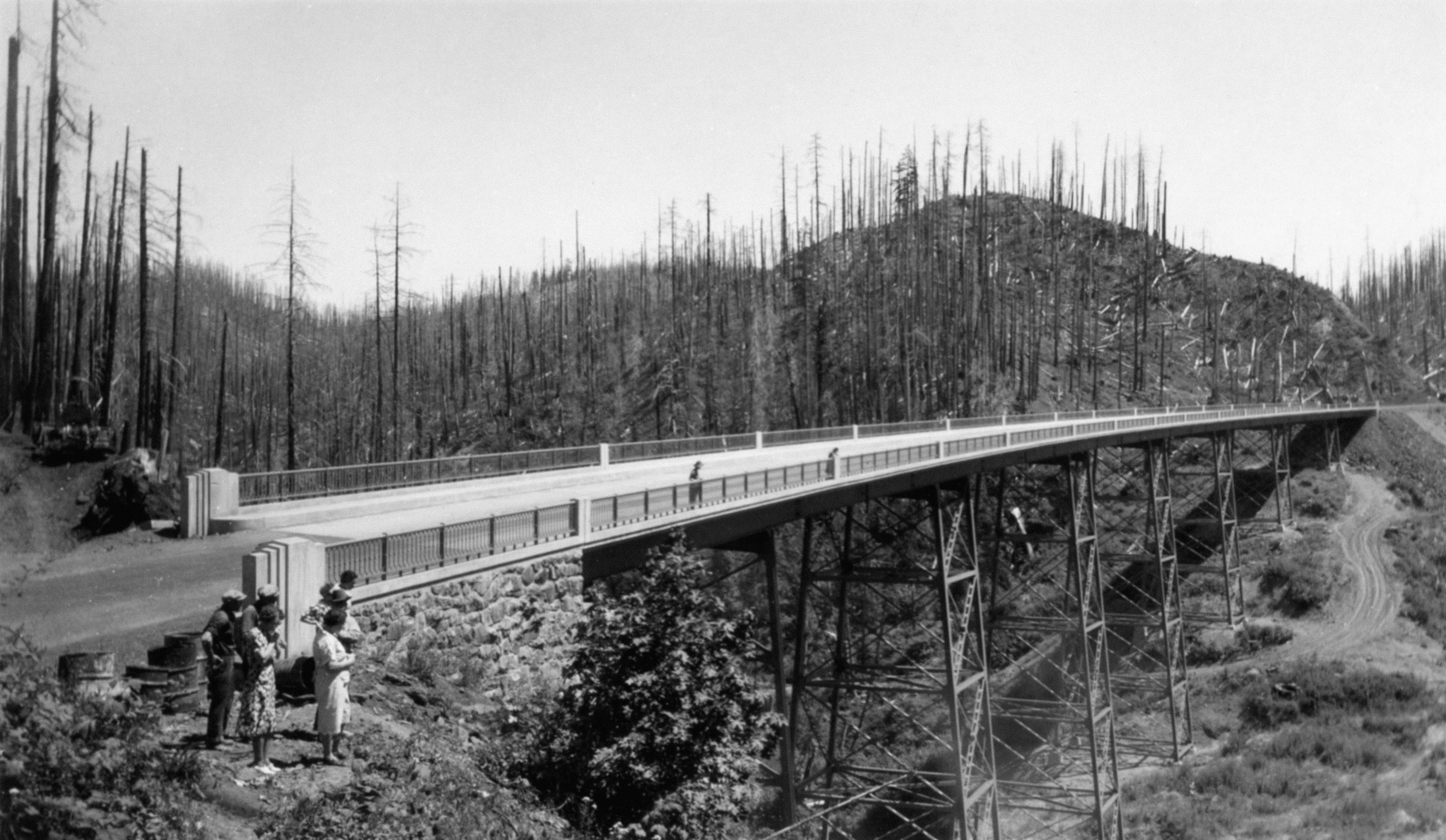 Photo by oregonstateuni