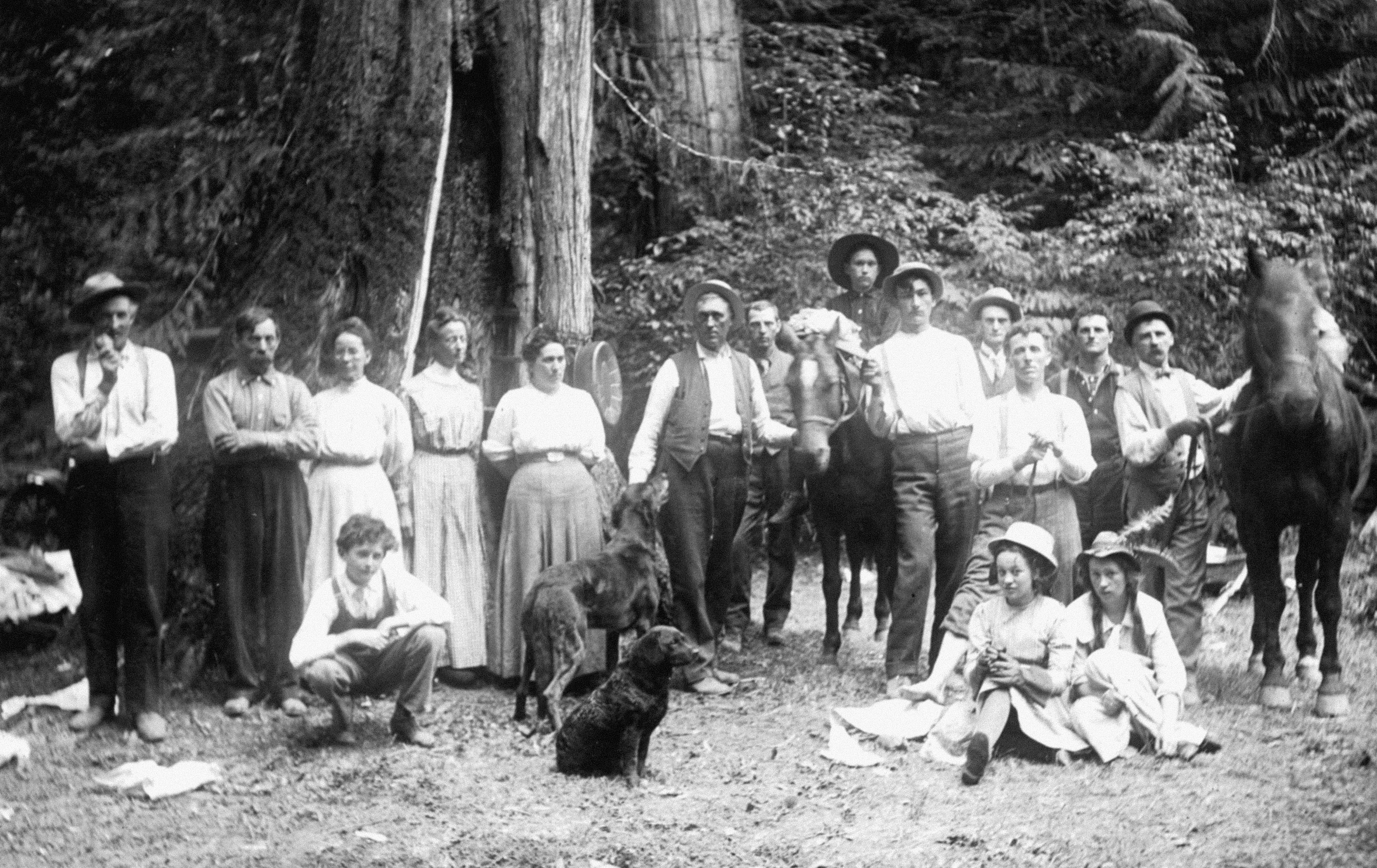 Photo by oregonstateuni