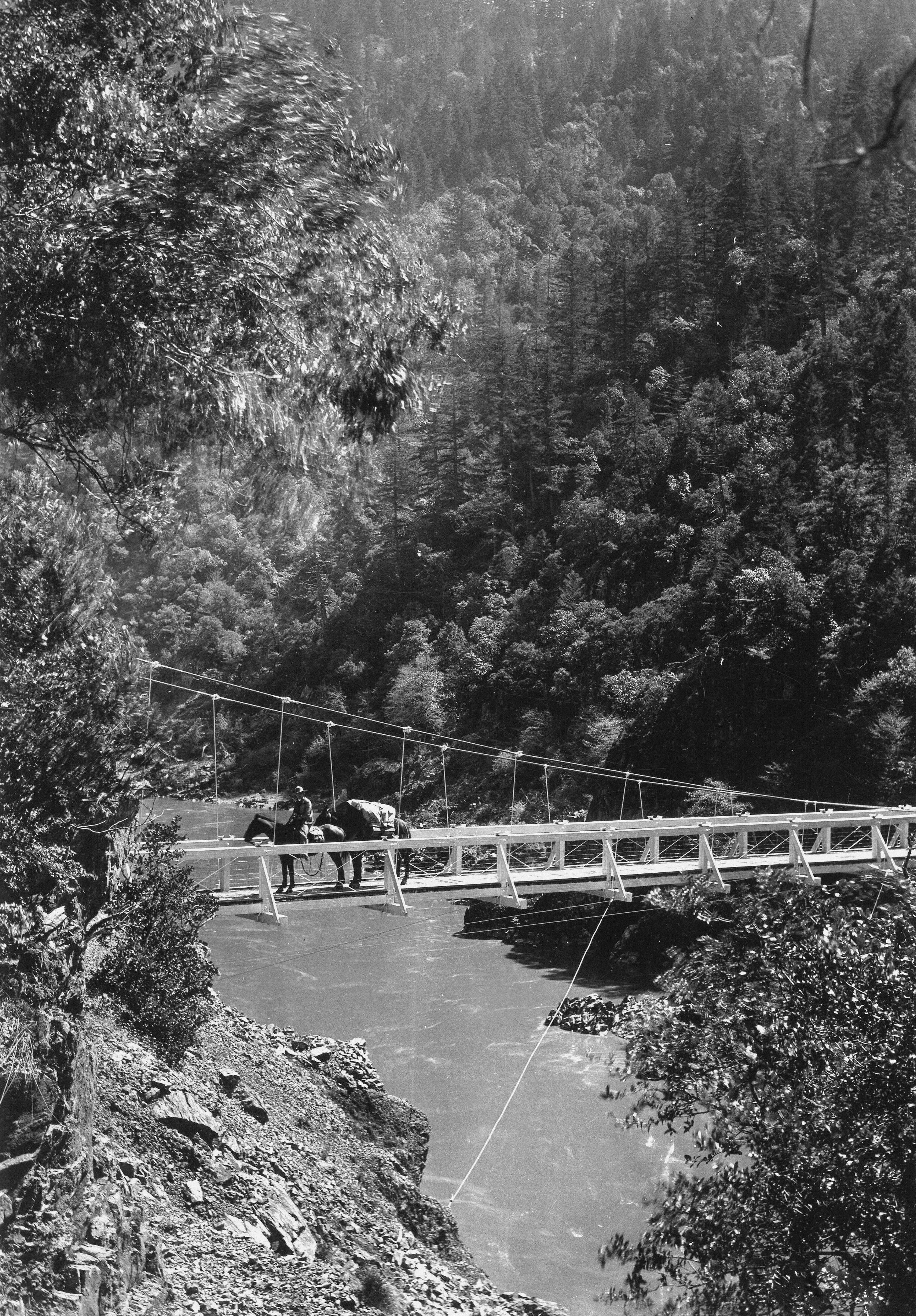 Photo by oregonstateuni