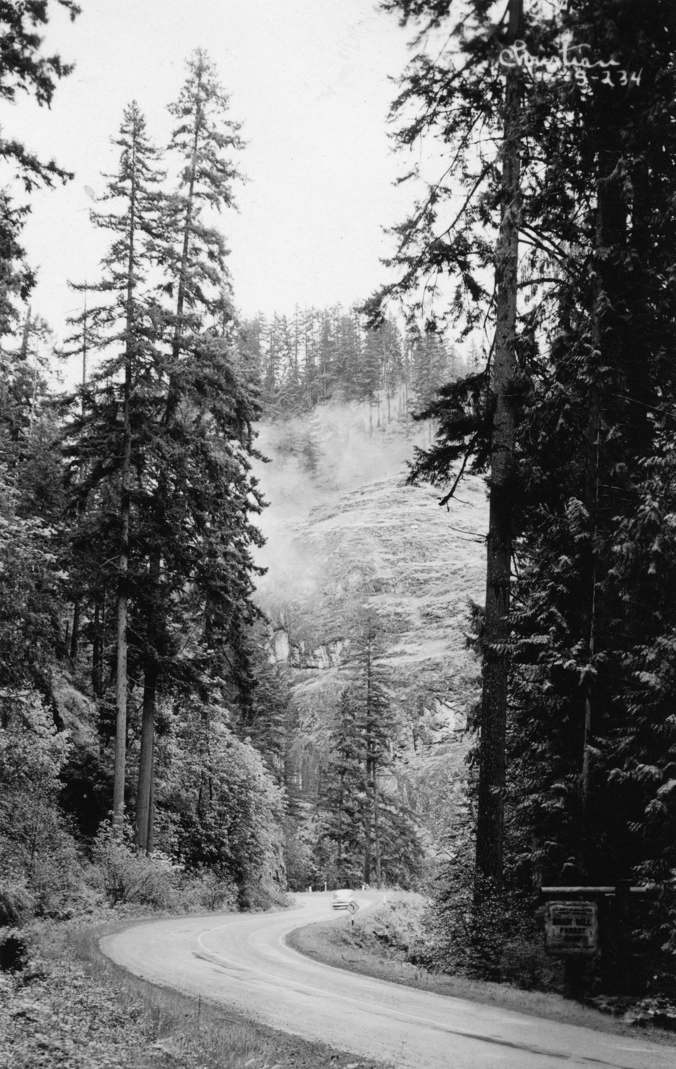 Photo by oregonstateuni