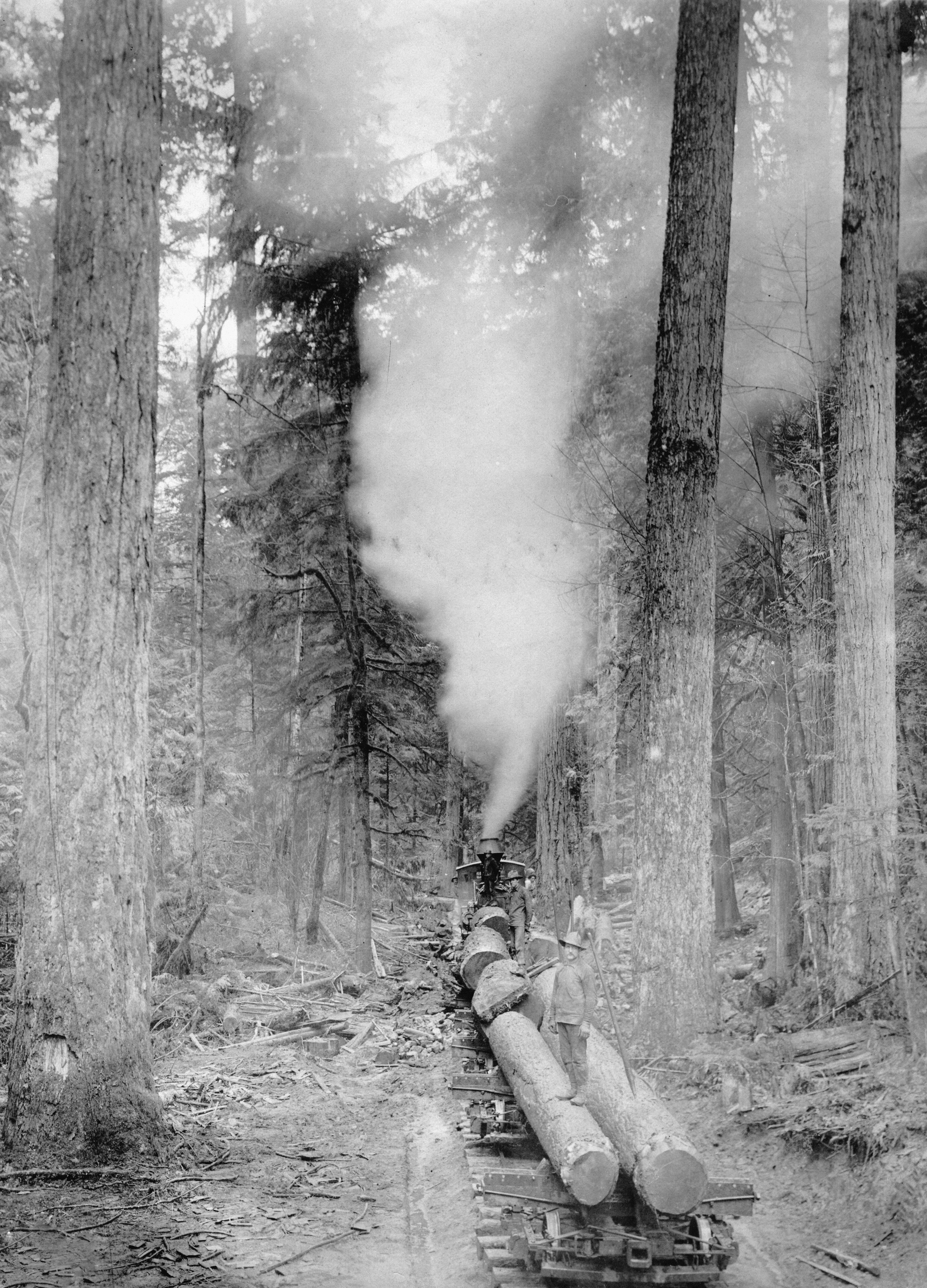 Photo by oregonstateuni