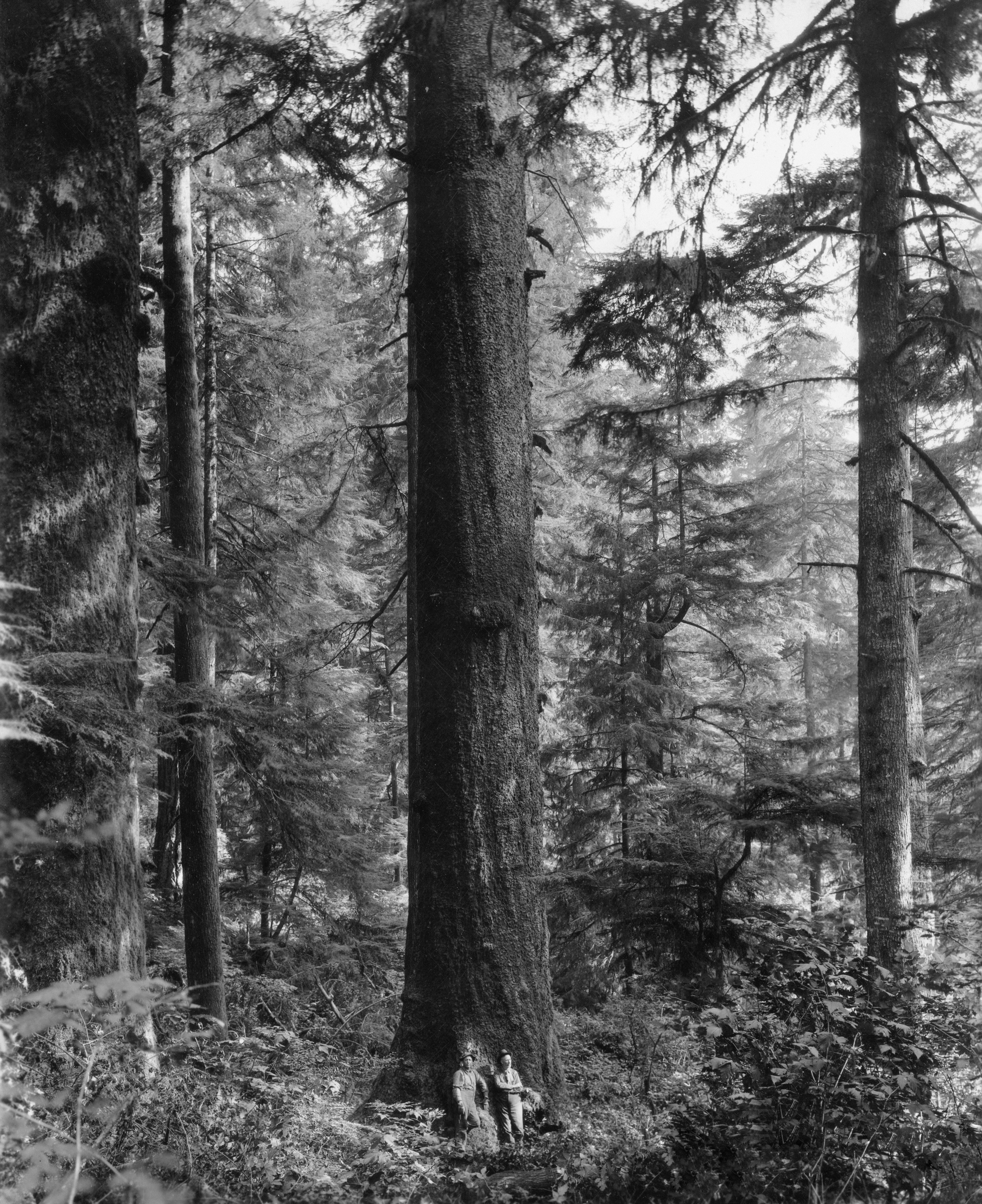 Photo by oregonstateuni