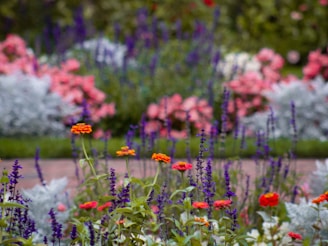 A garden filled with lots of colorful flowers