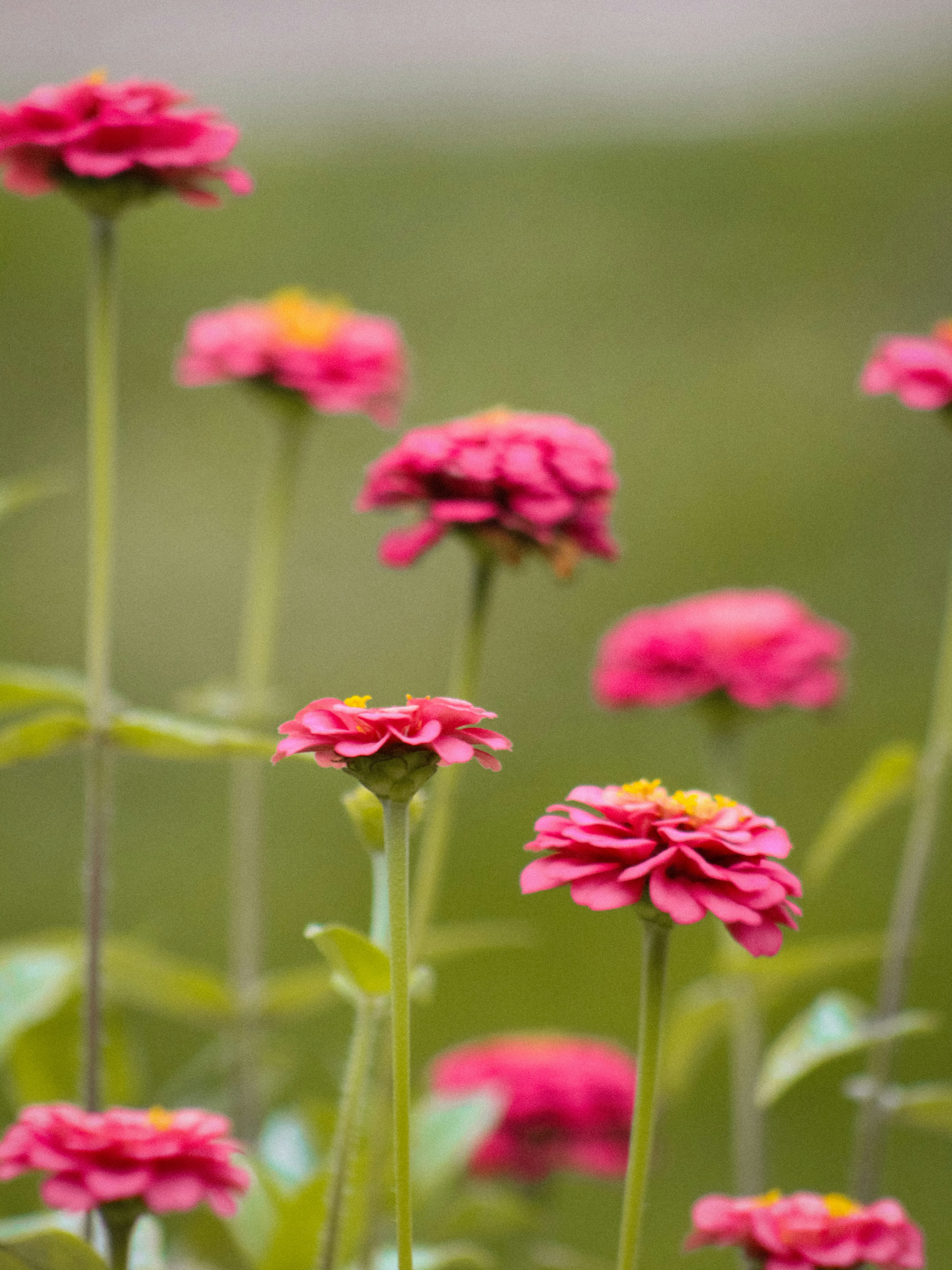 Photo by charlysey278