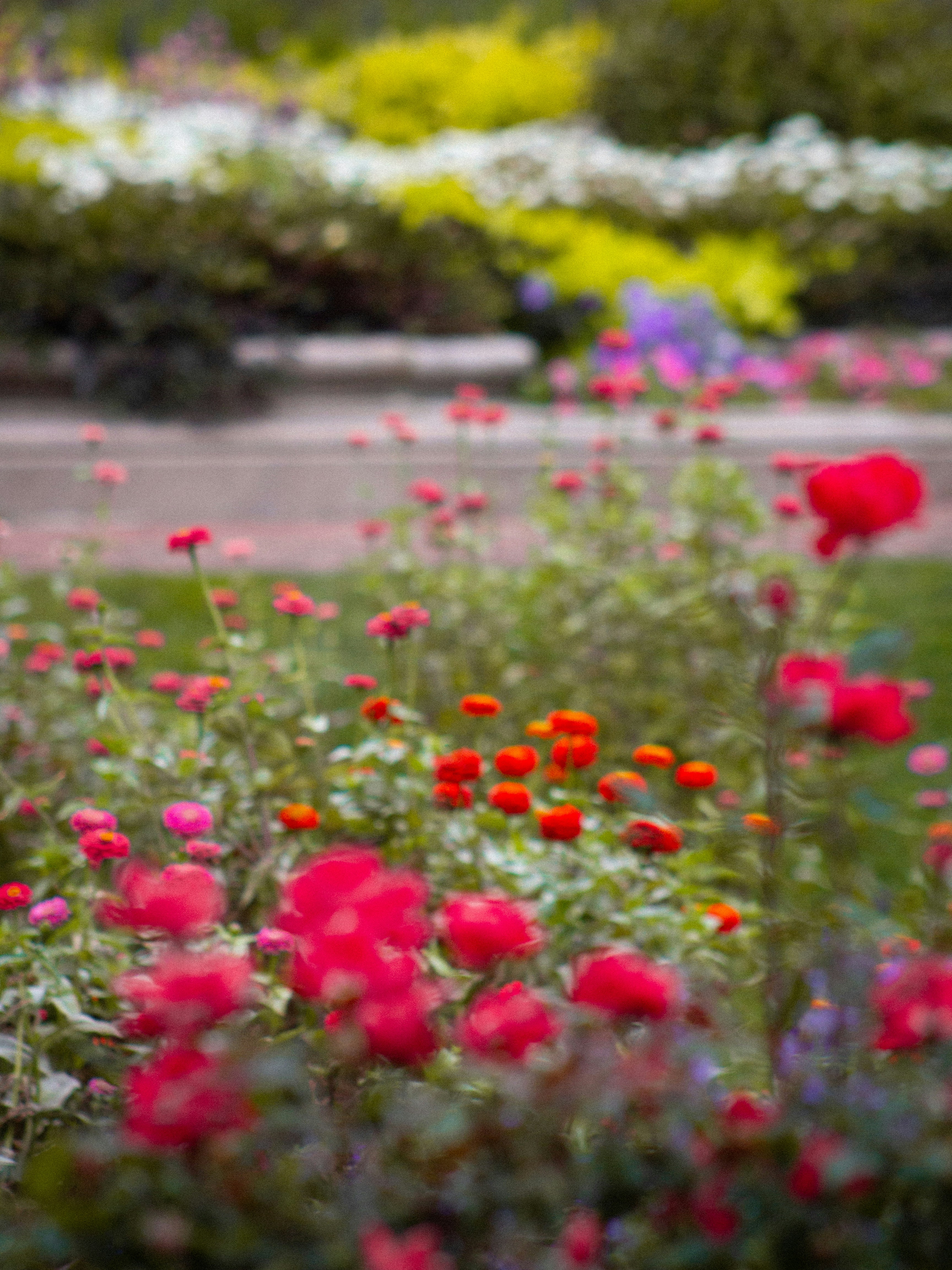 Photo by charlysey278