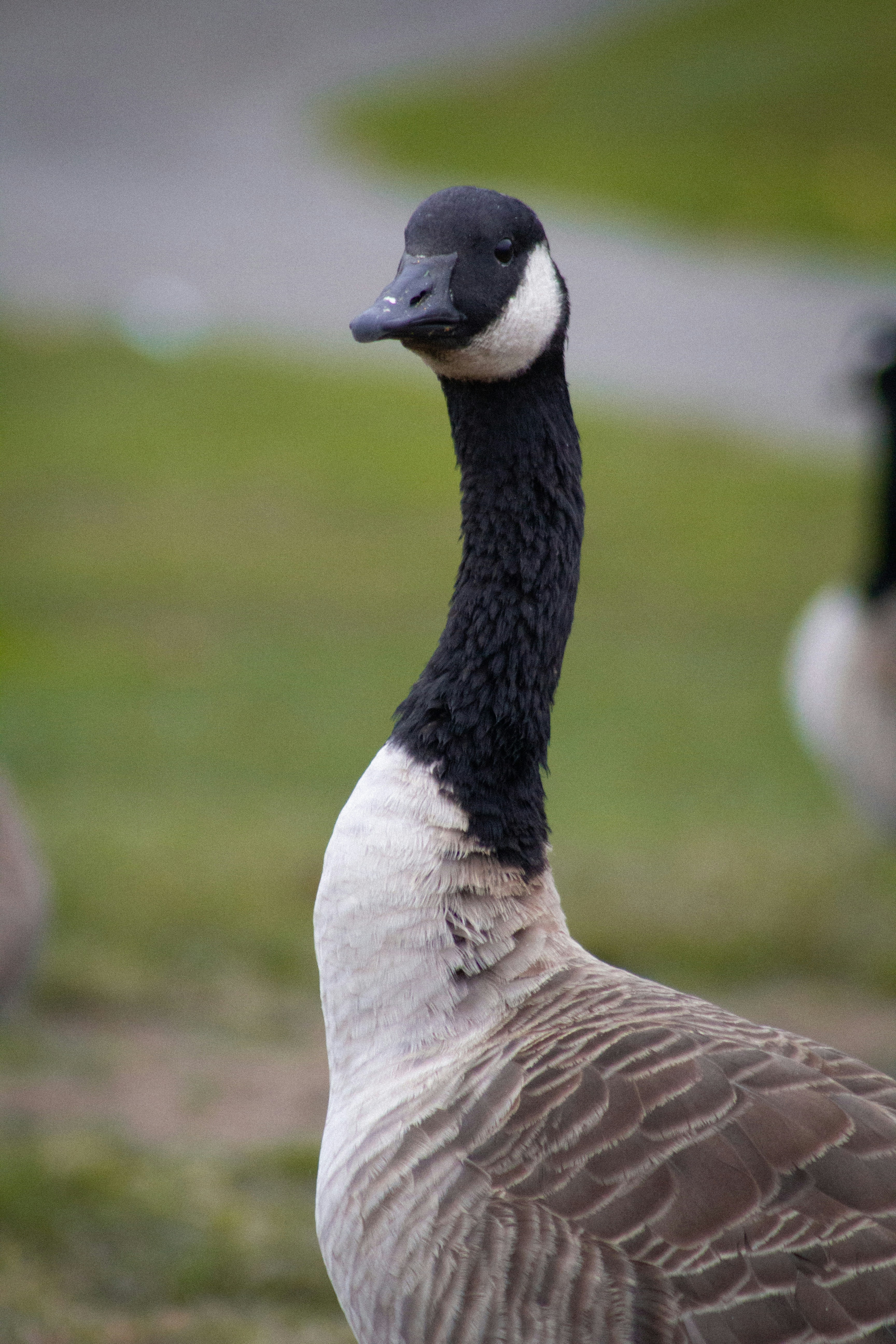 Photo by charlysey278