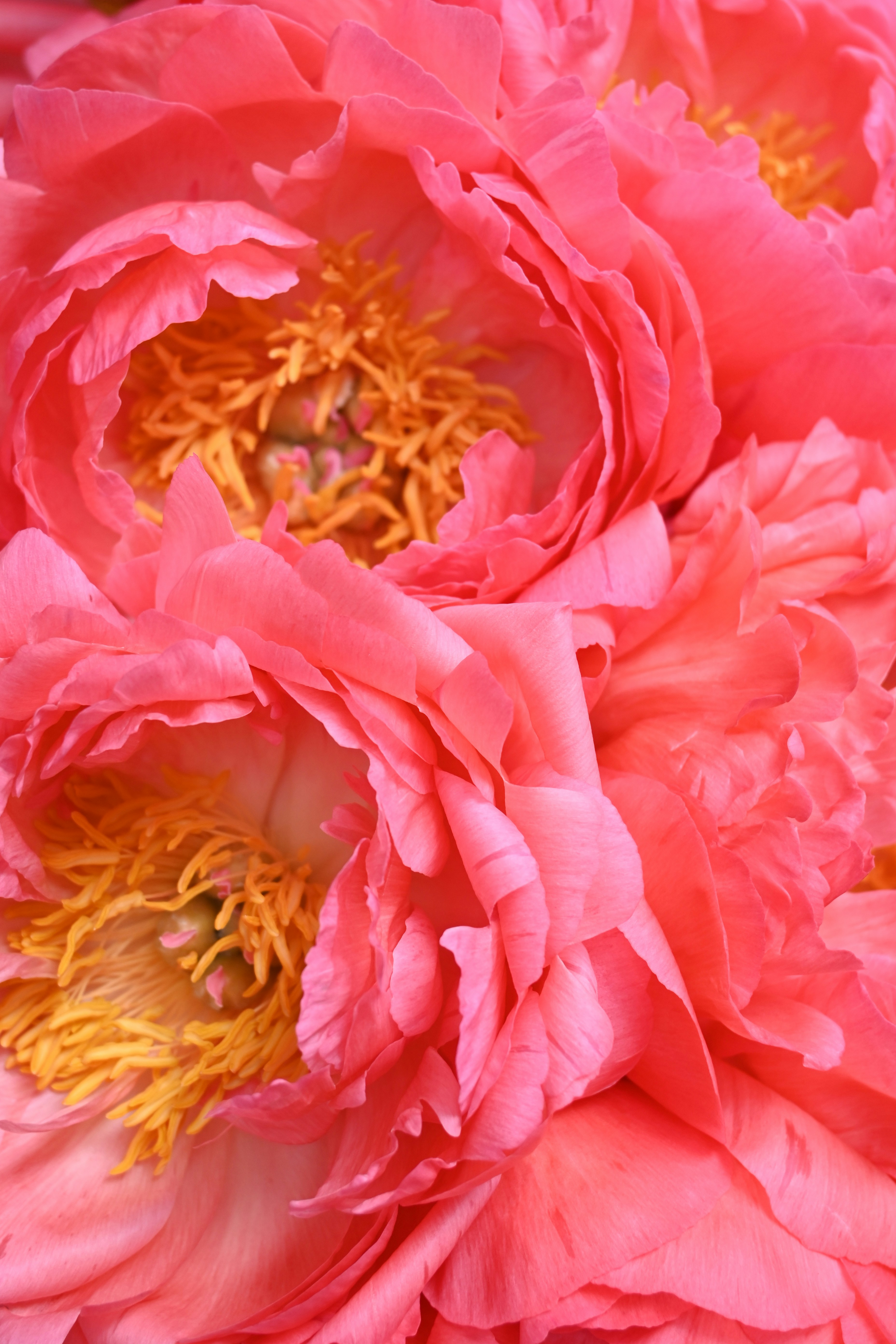 Photo by karolinabobek