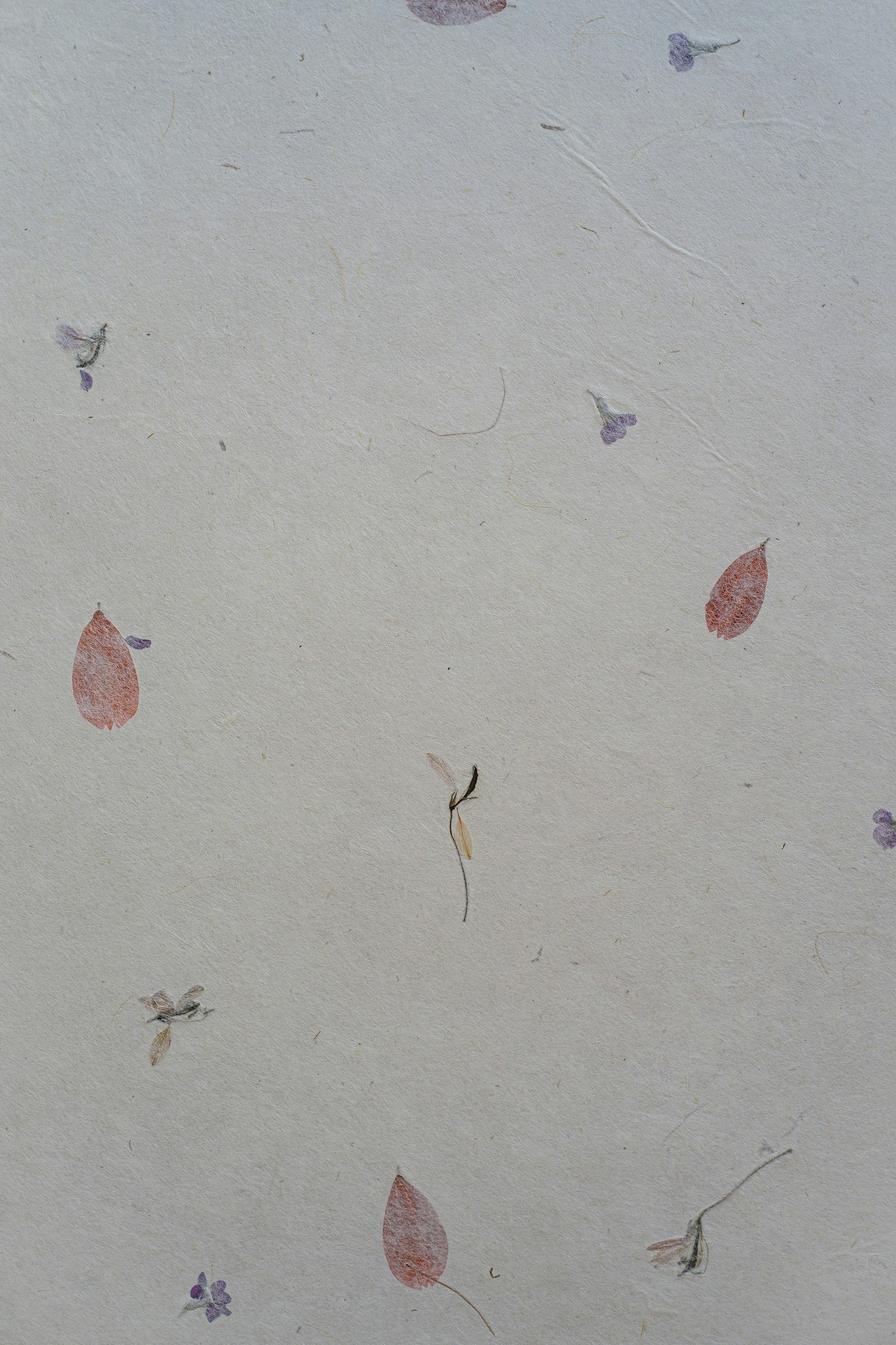 A white wall with a bunch of red and purple leaves on it