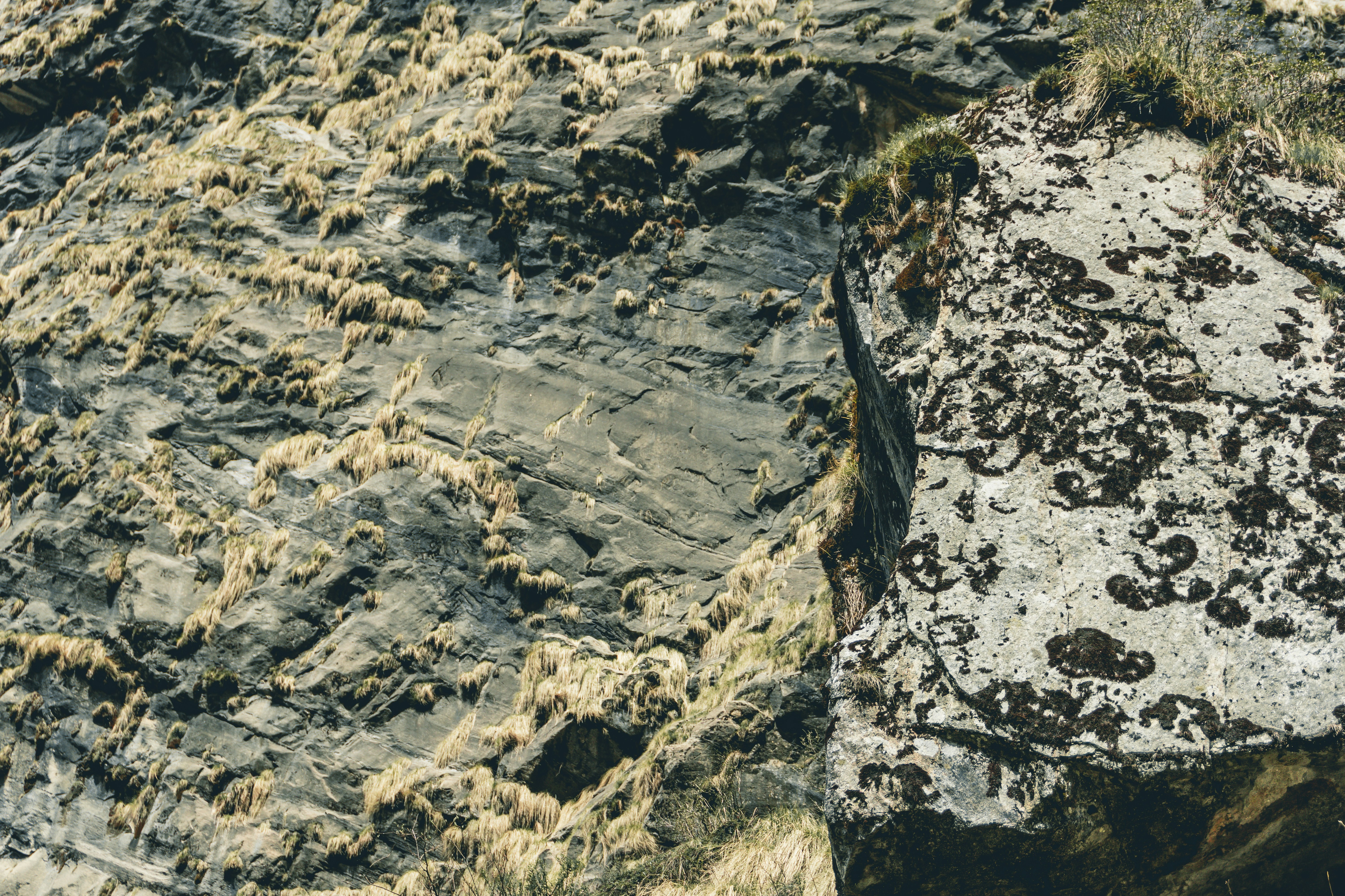 Photo by abdulkayum97