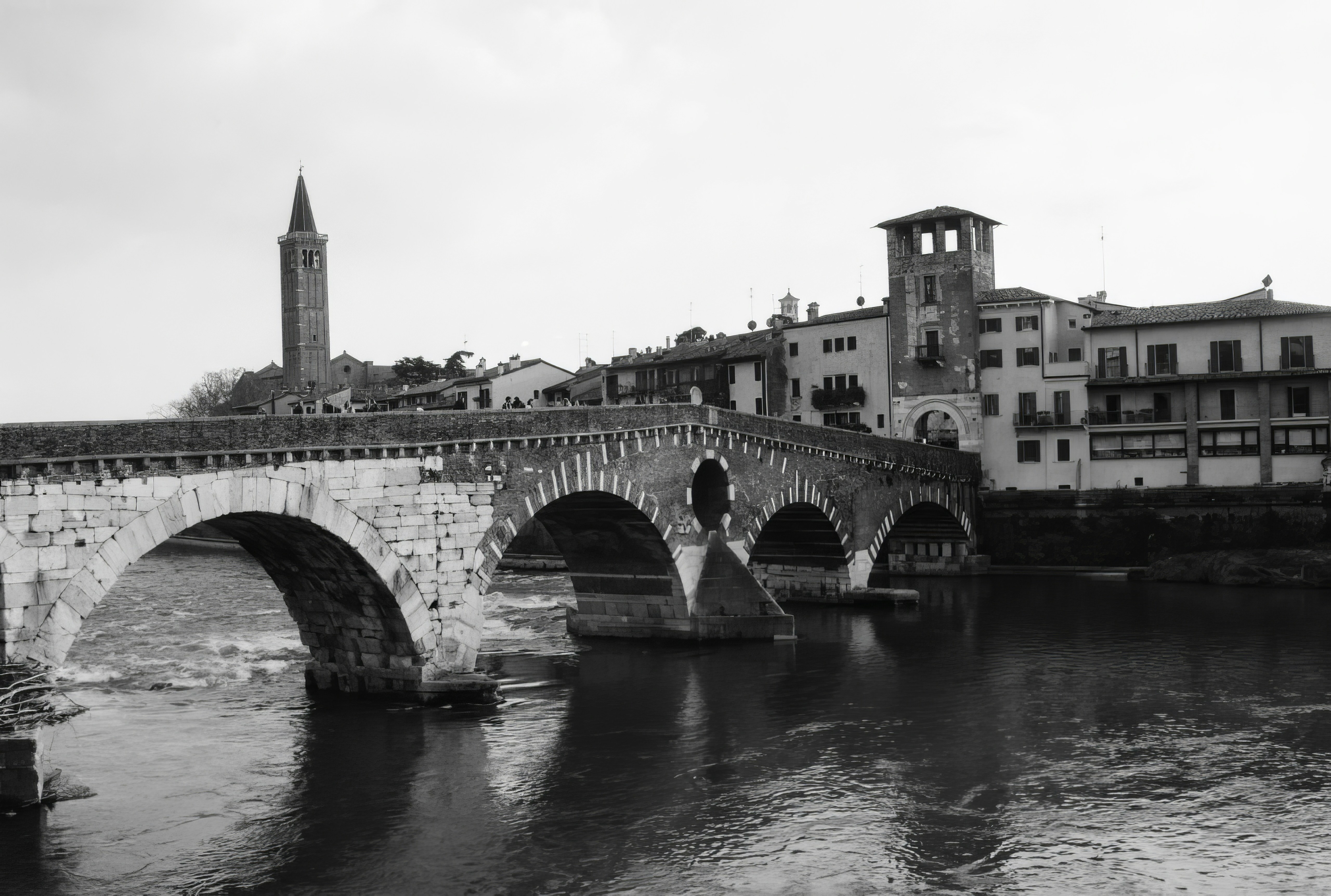 Photo by jirasek_photos