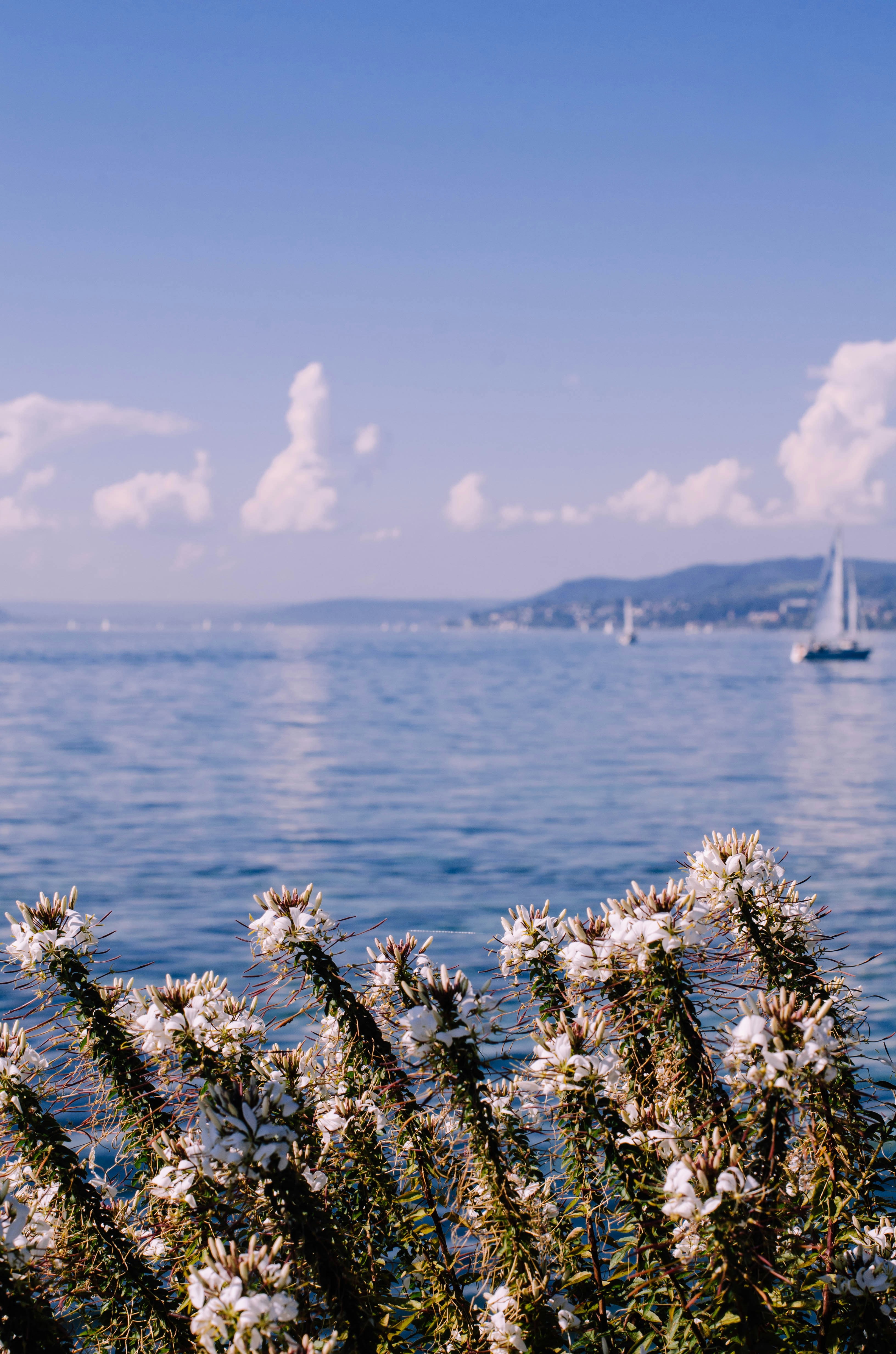 Photo by nika_benedictova