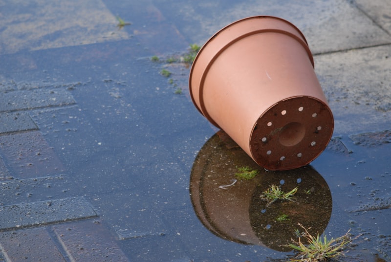 Regenfass neben einer gepflasterten Fläche