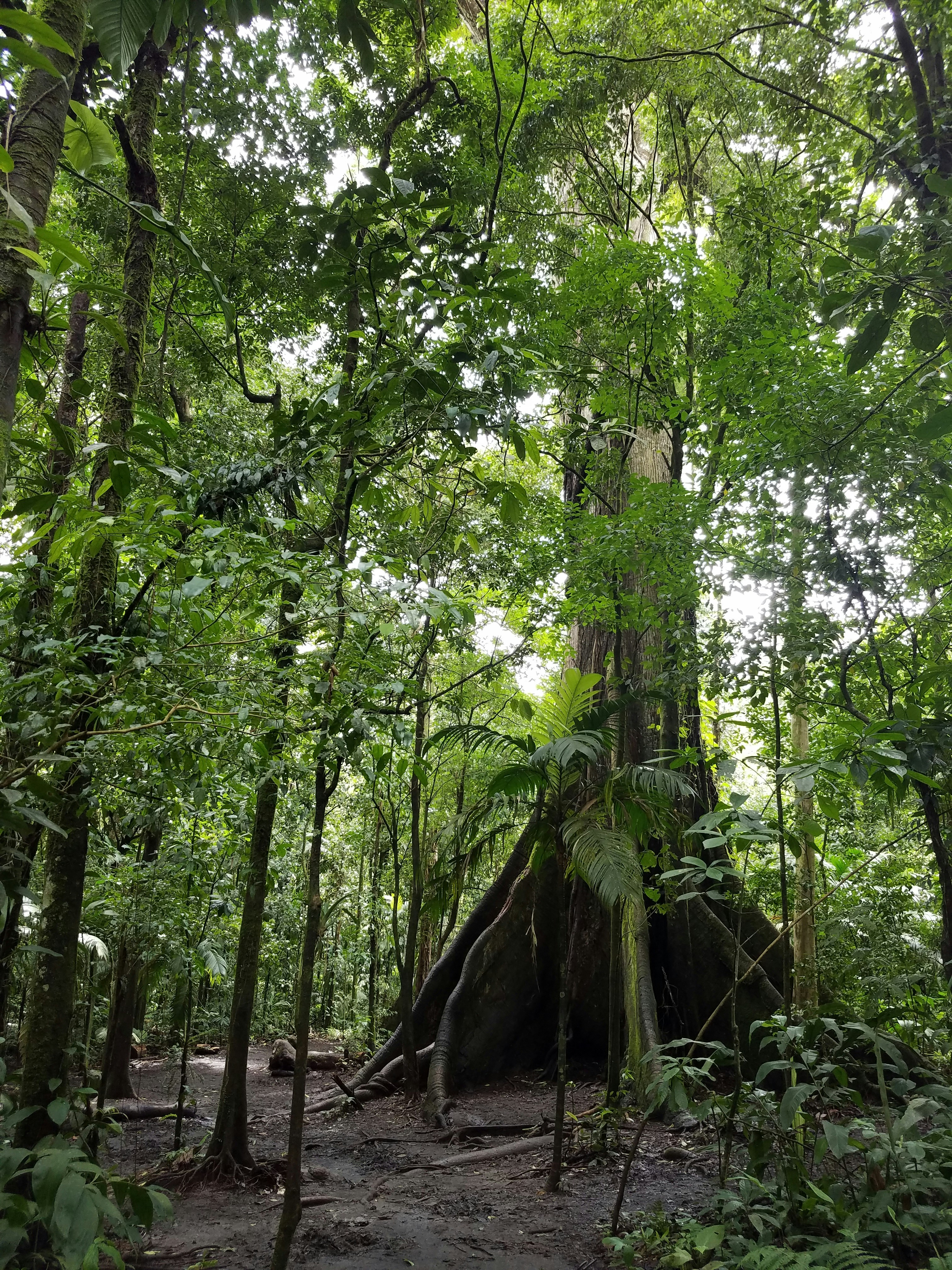 Photo by martincasagrand