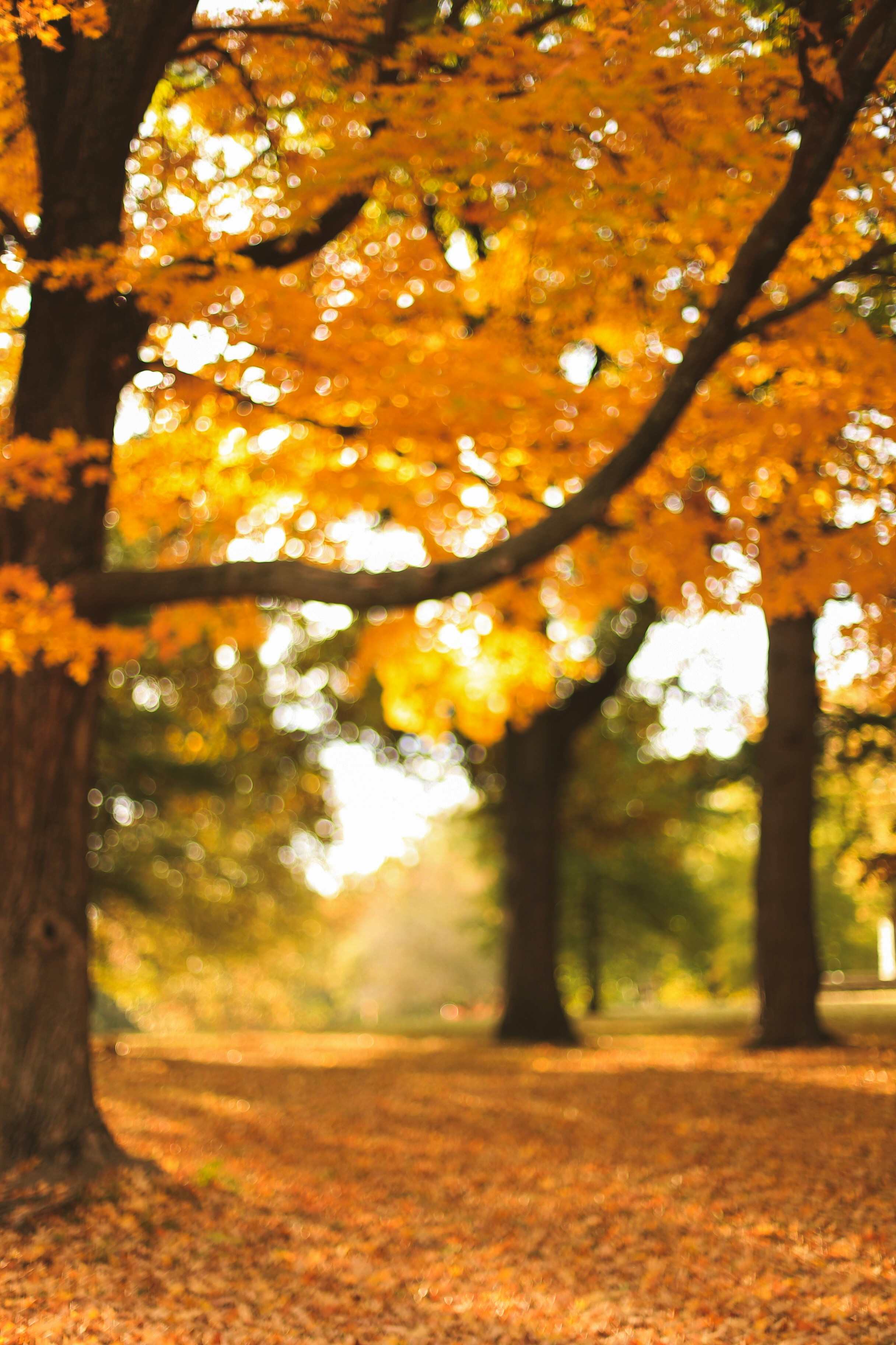 Photo by jessicalfadel