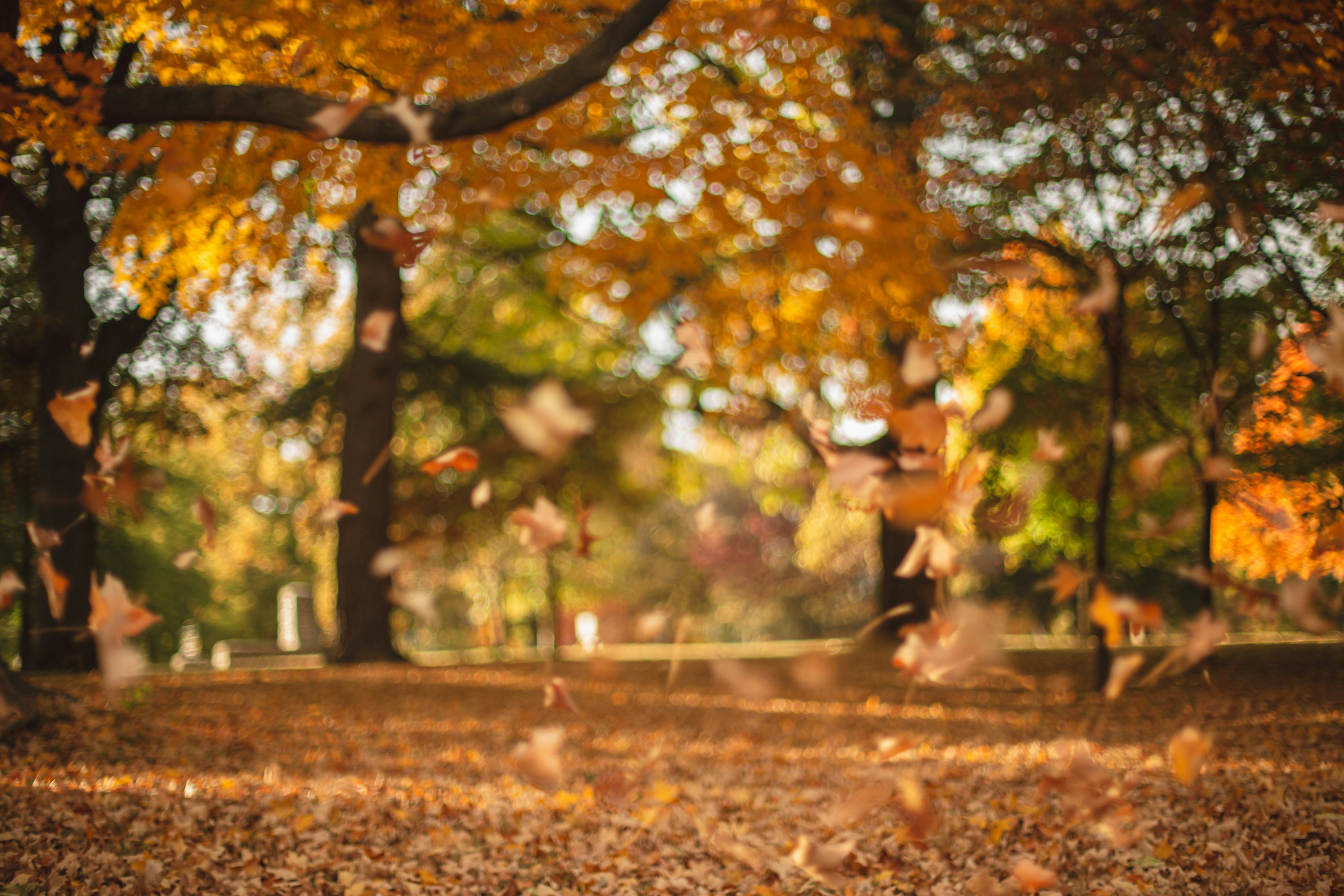 Photo by jessicalfadel