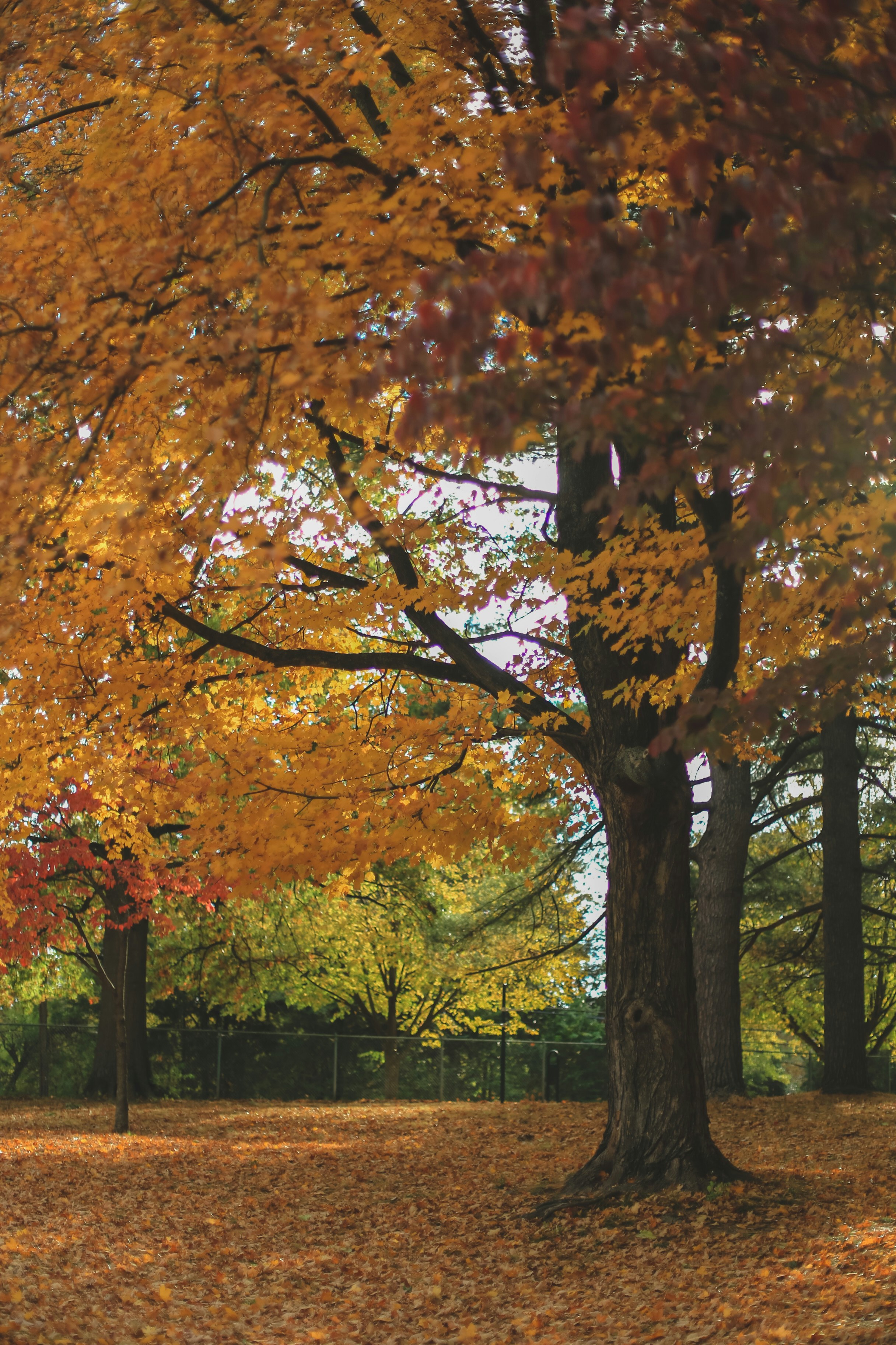 Photo by jessicalfadel