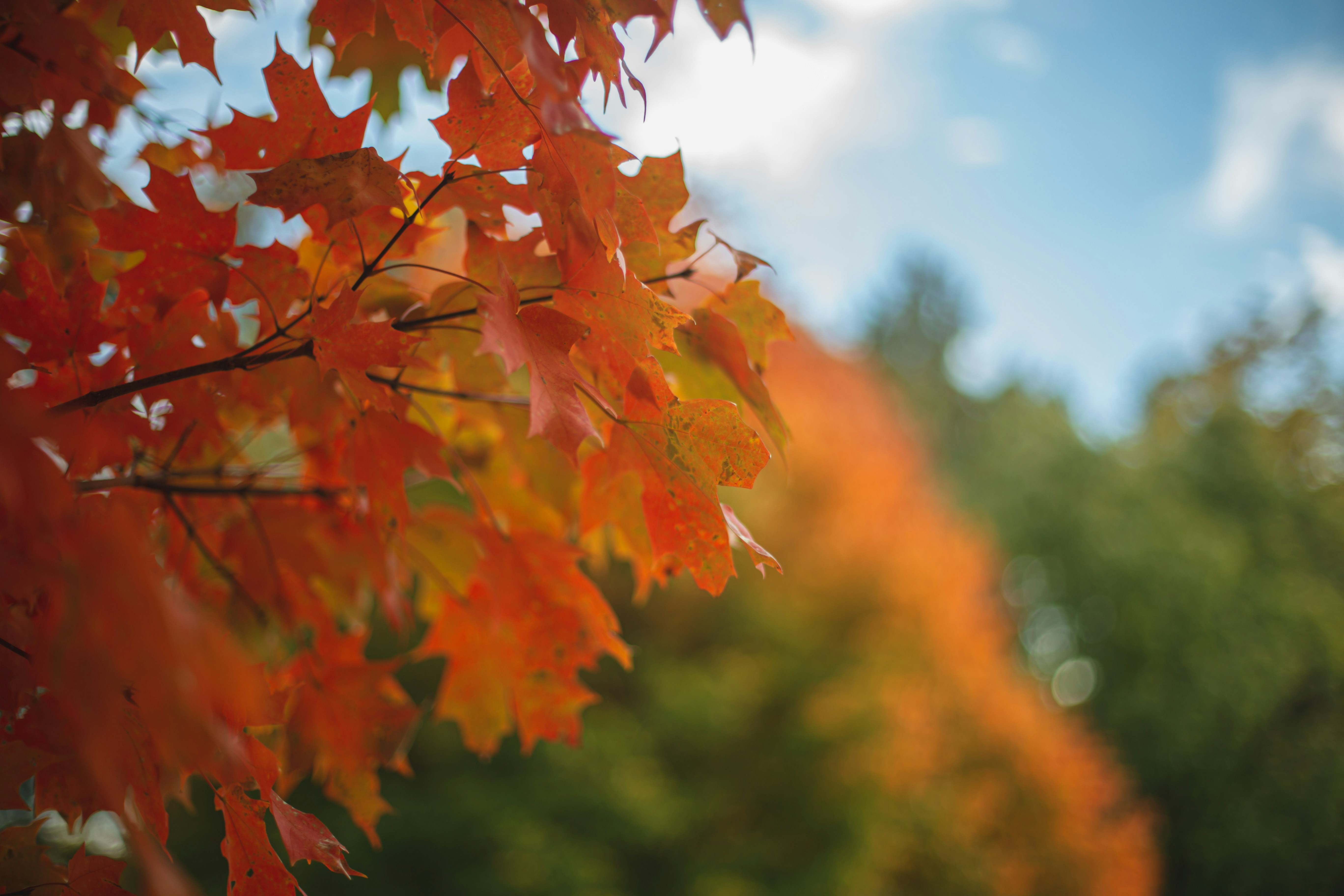 Photo by jessicalfadel