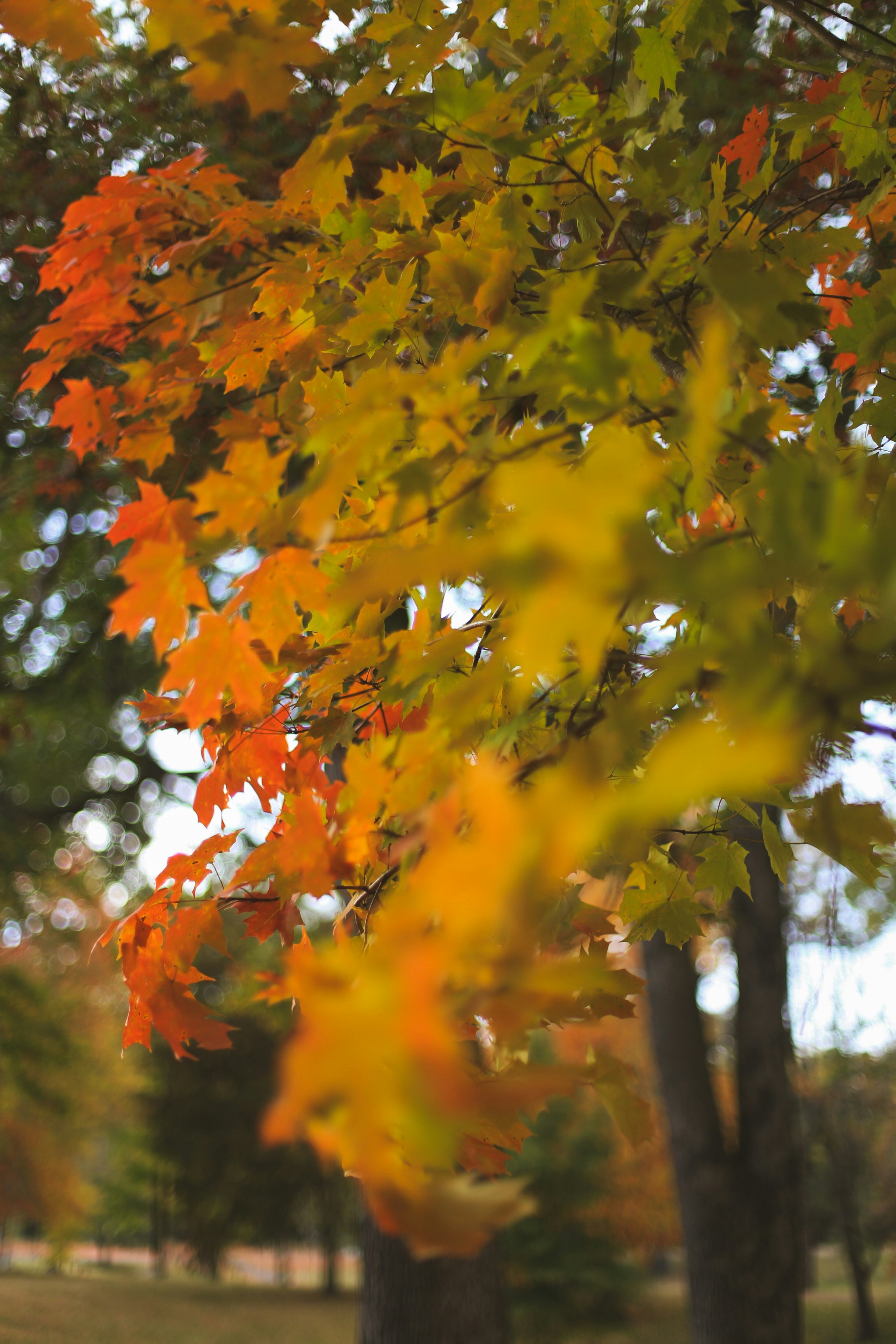 Photo by jessicalfadel