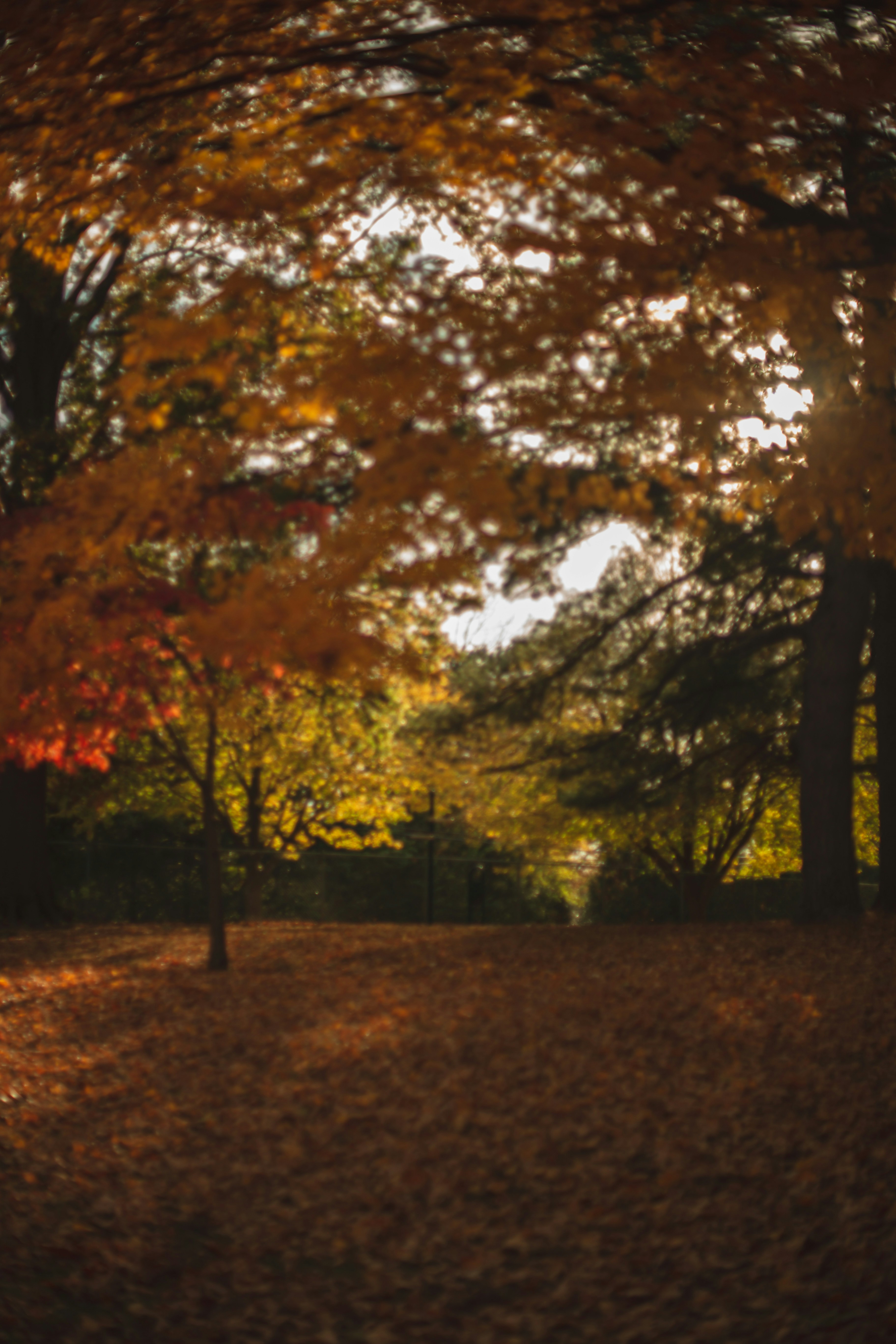 Photo by jessicalfadel