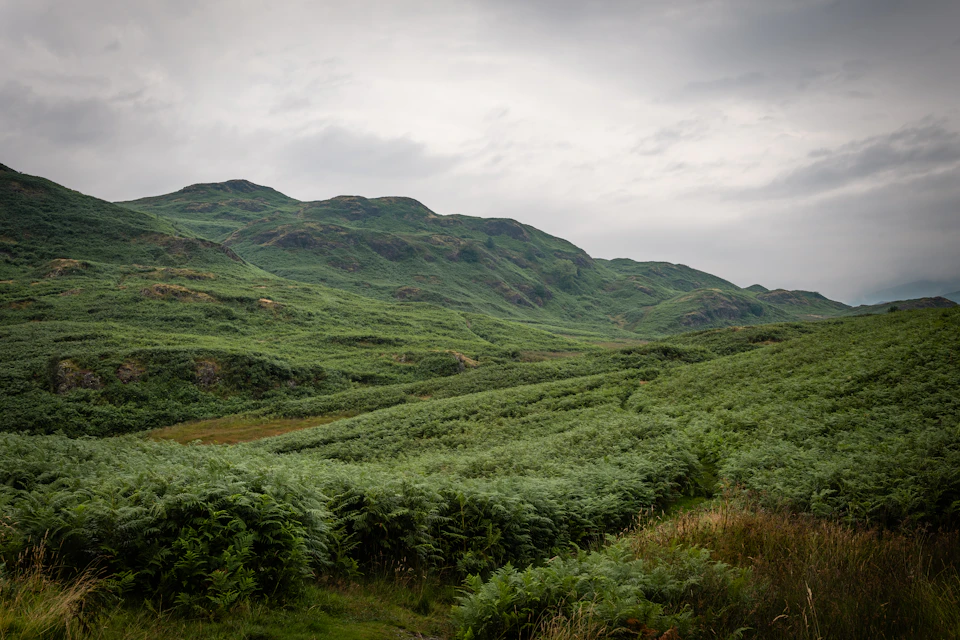Serene valley nestled between two majestic mountains with lush green vegetation and misty sky