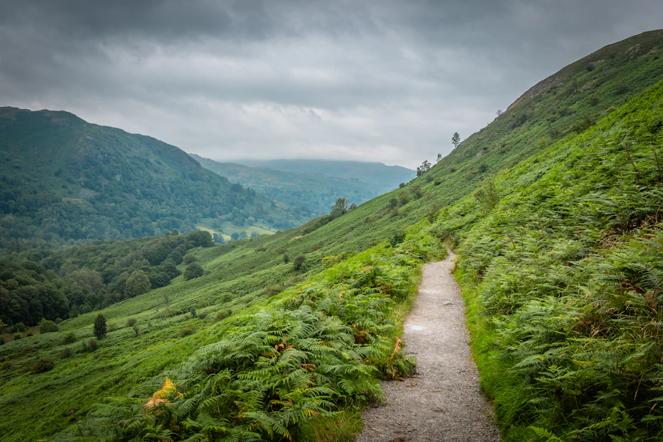 Serene landscape with winding dirt path through lush green hills and valley below