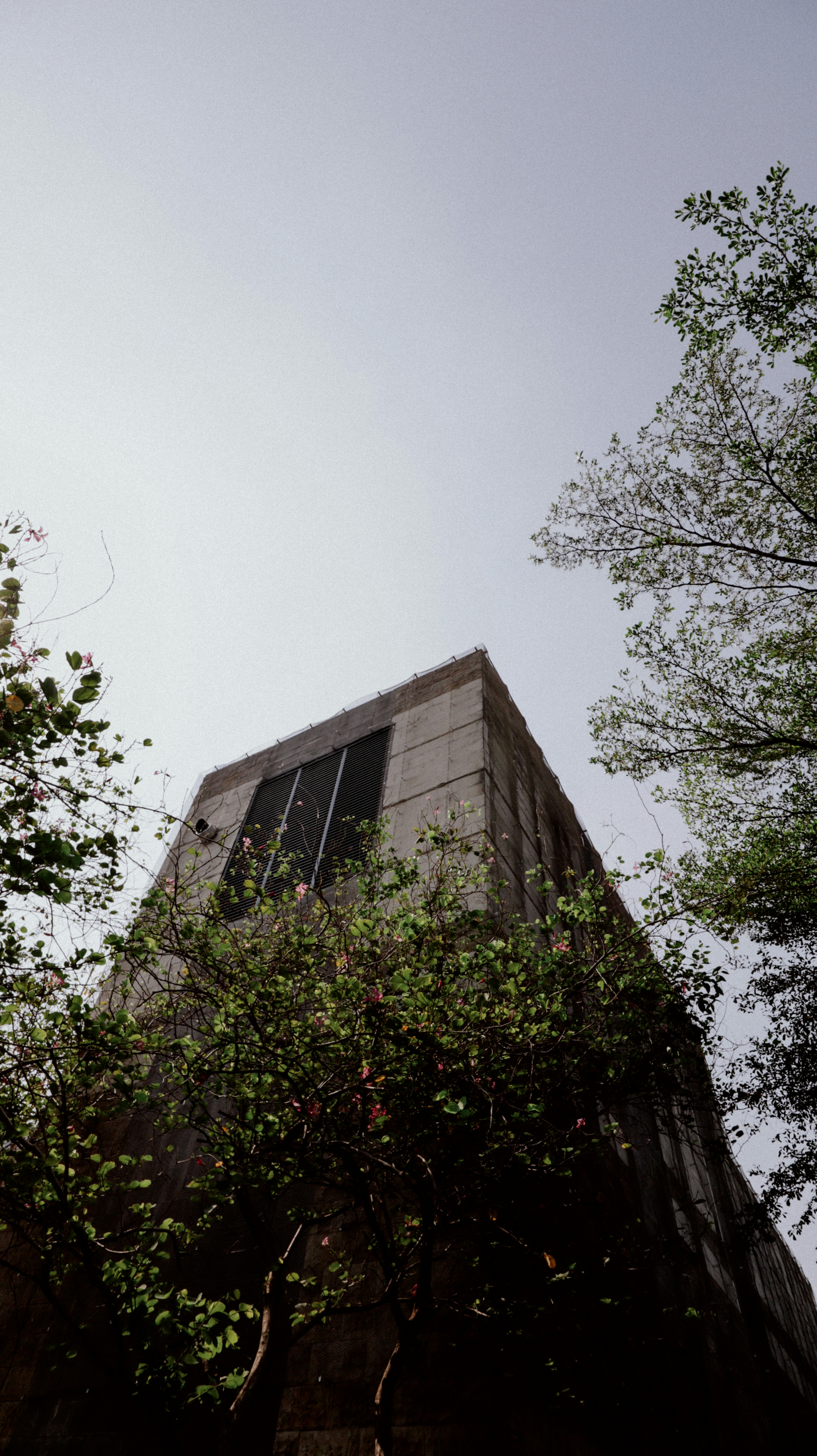 Looking up at a tall building from below