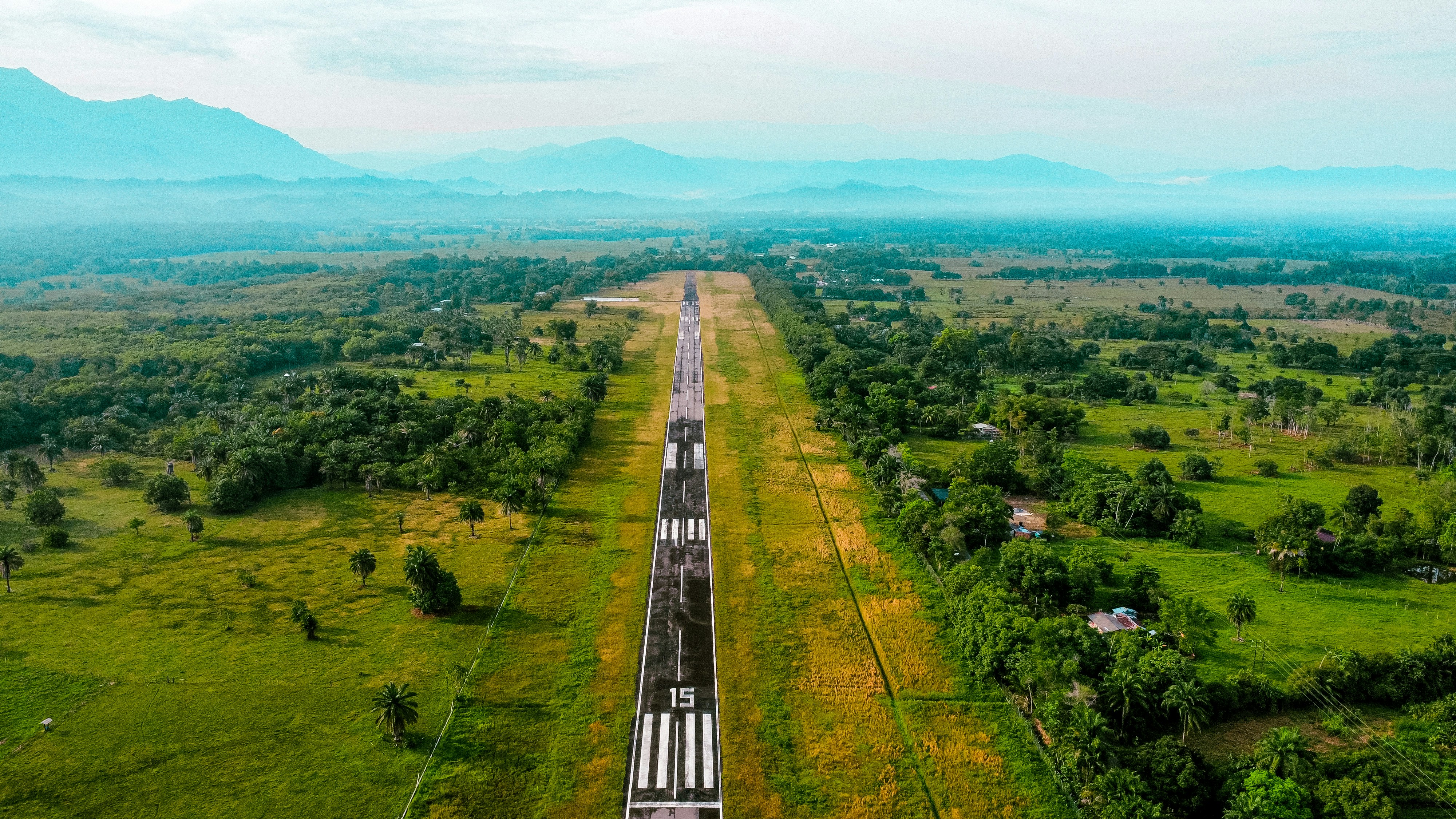 A train traveling through a lush green countryside