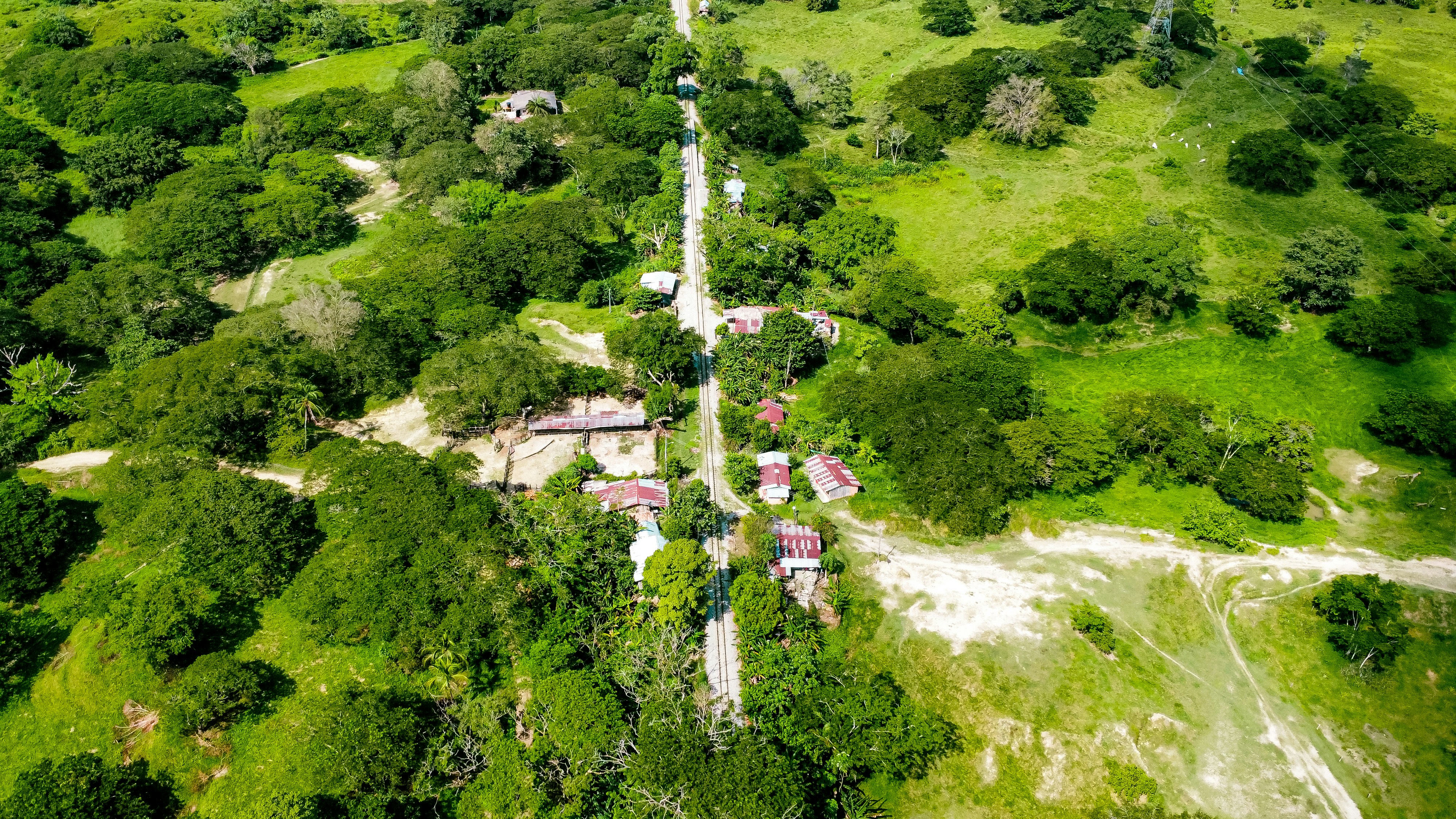 An aerial view of a lush green forest