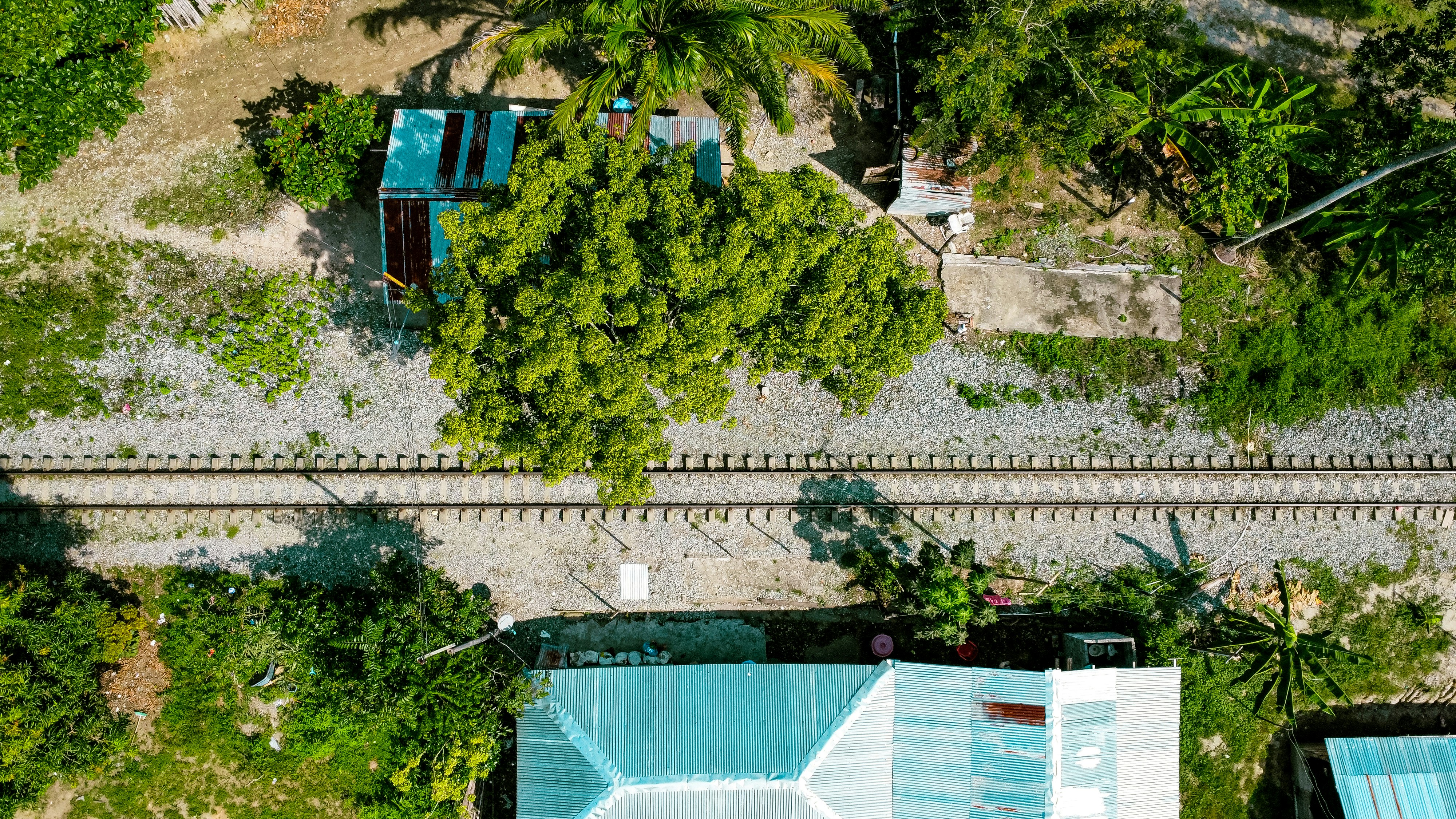 An aerial view of a train track and trees