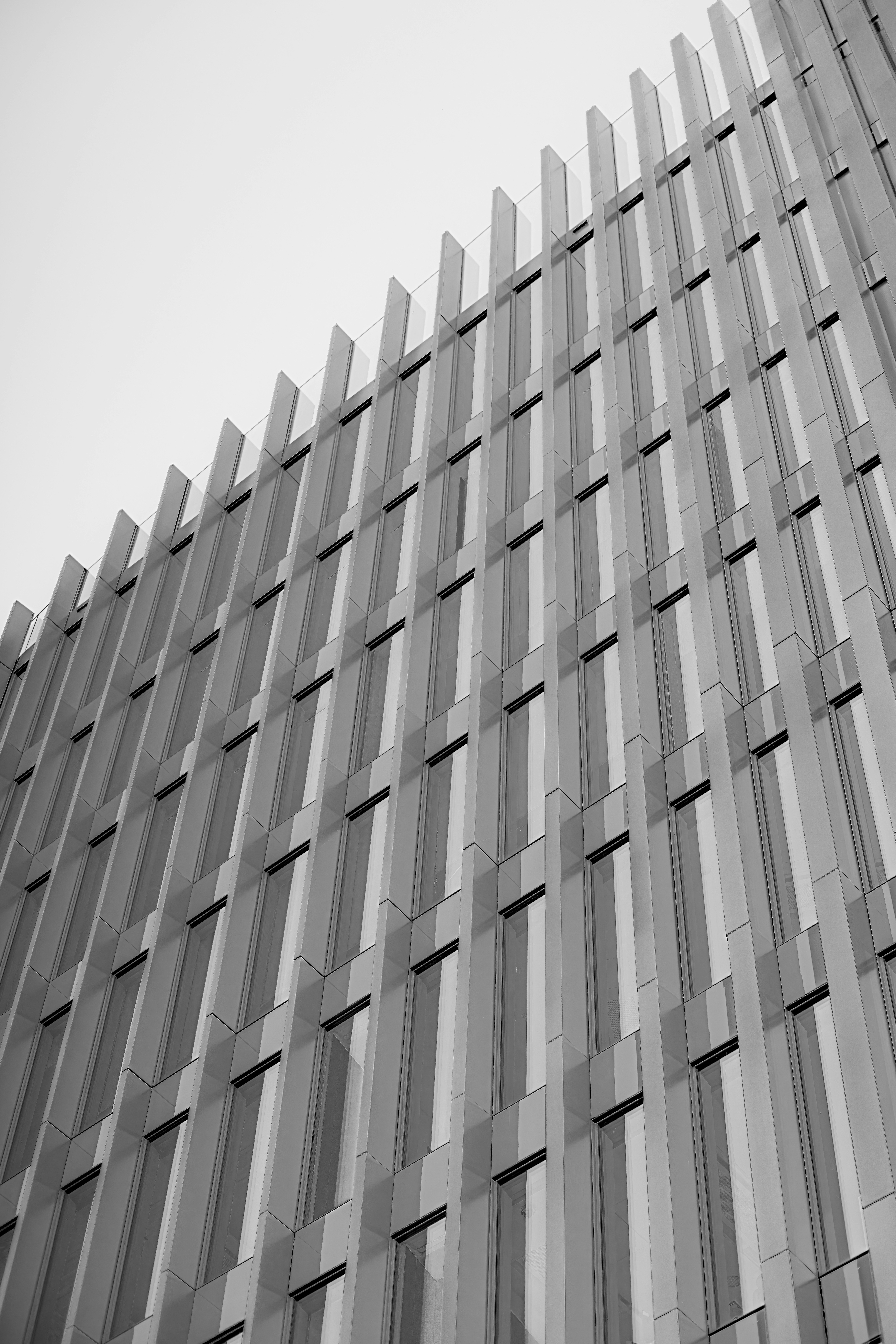 Photo by mikhail_mamaev