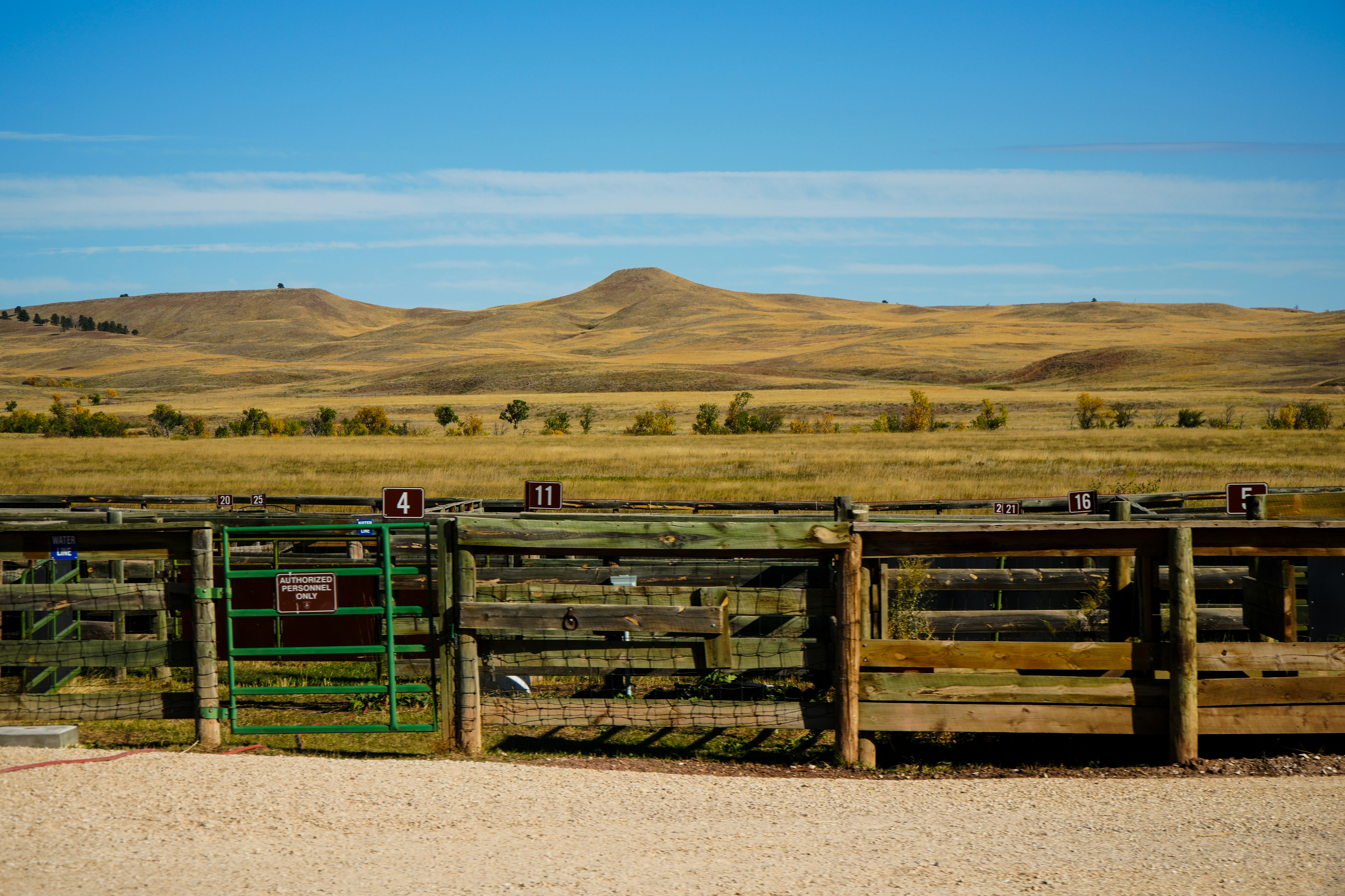 Photo by wanderworks