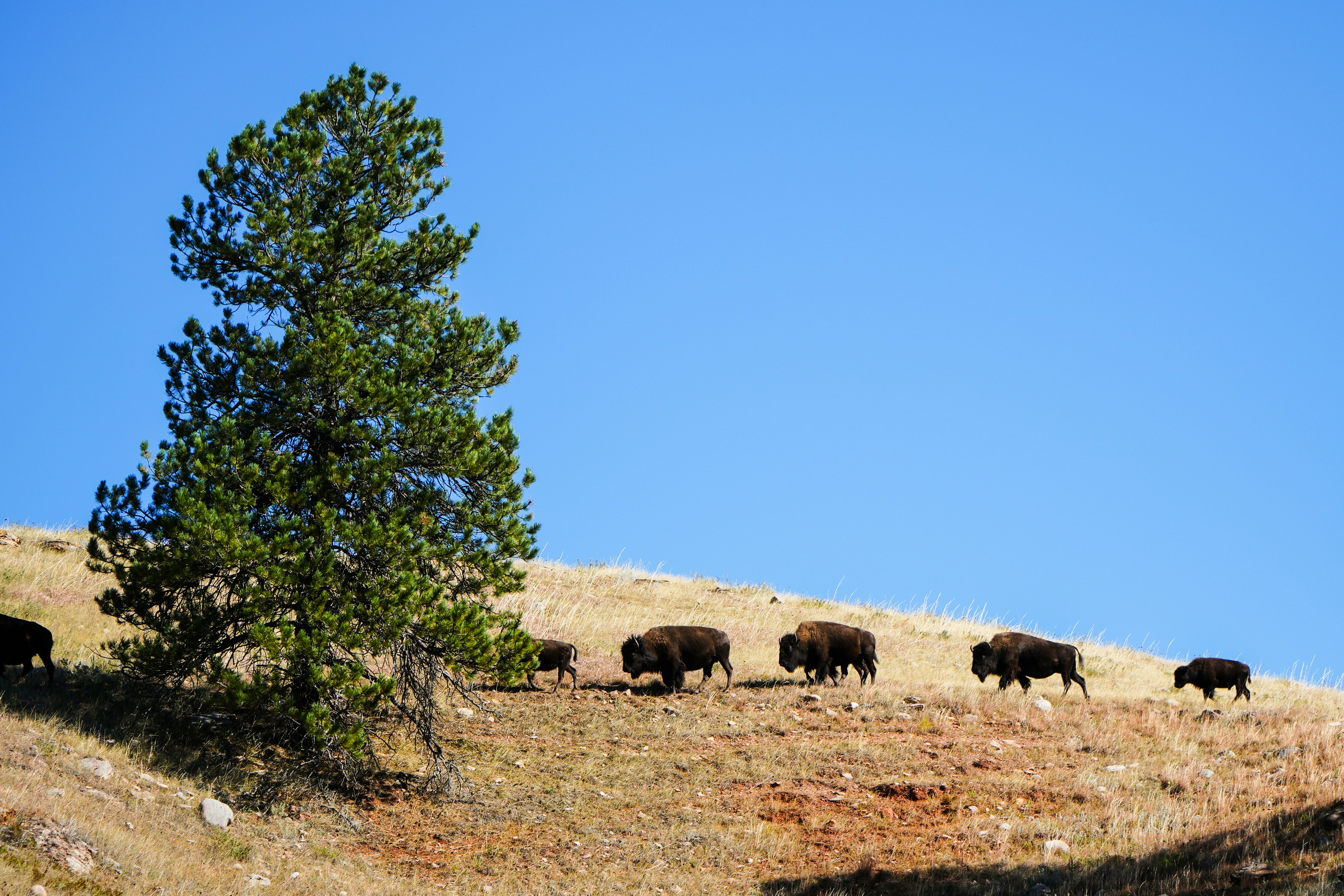 Photo by wanderworks